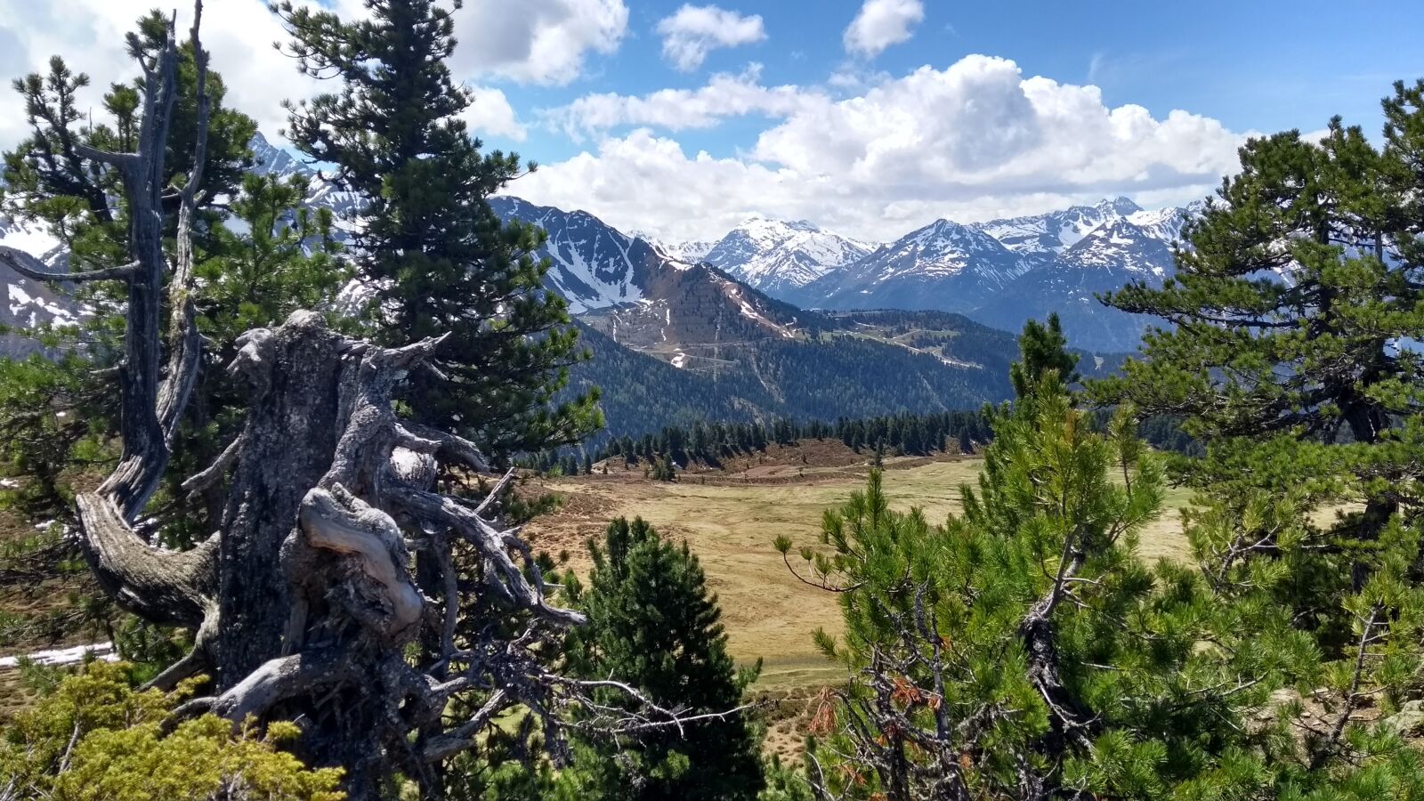 Motorola Moto G (5th Gen) sample photo. Mountain, wood, nature photography