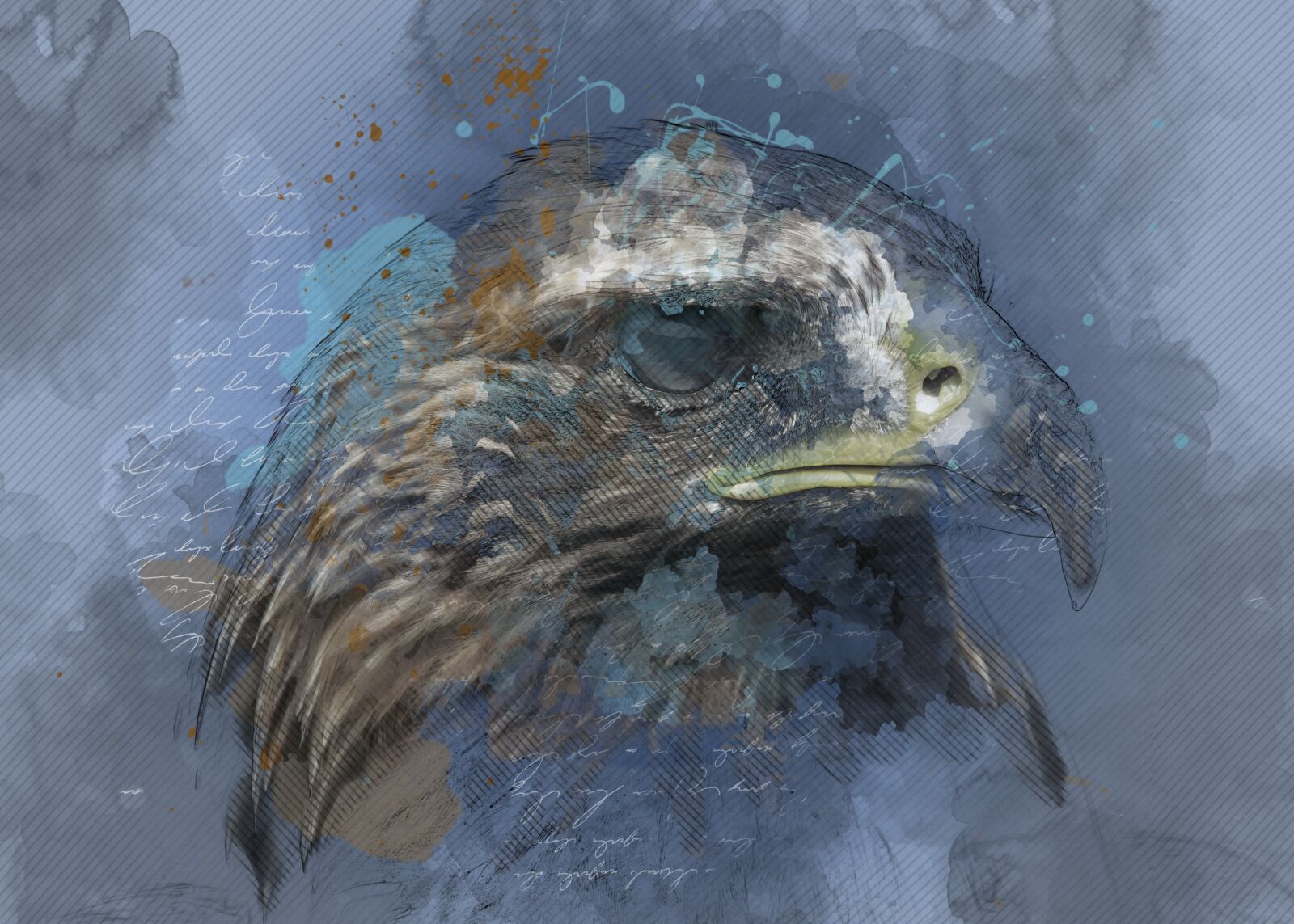 Canon EOS 500D (EOS Rebel T1i / EOS Kiss X3) sample photo. Adler, raptor, bird of photography