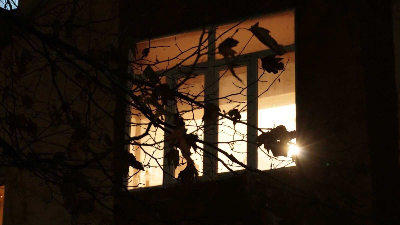 Sony a6500 sample photo. Window, night, light photography