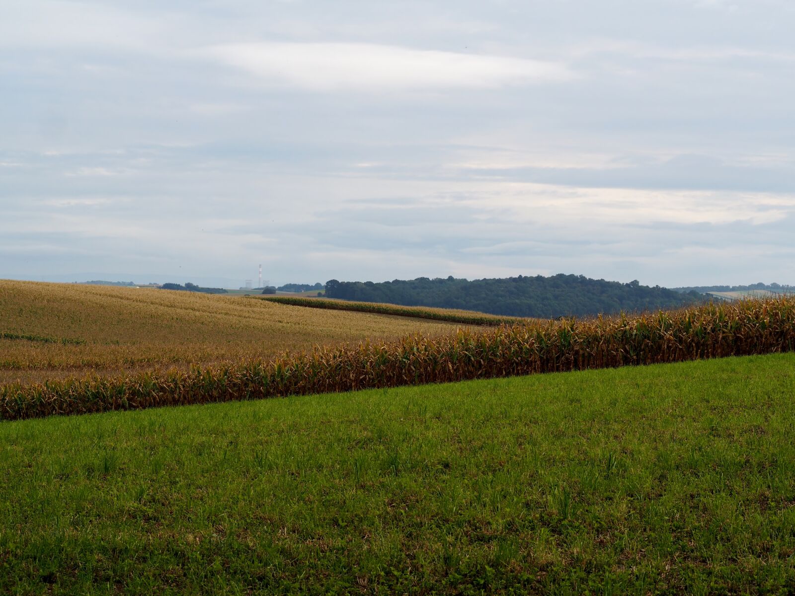Olympus OM-D E-M10 sample photo. Nature, fields, agriculture photography