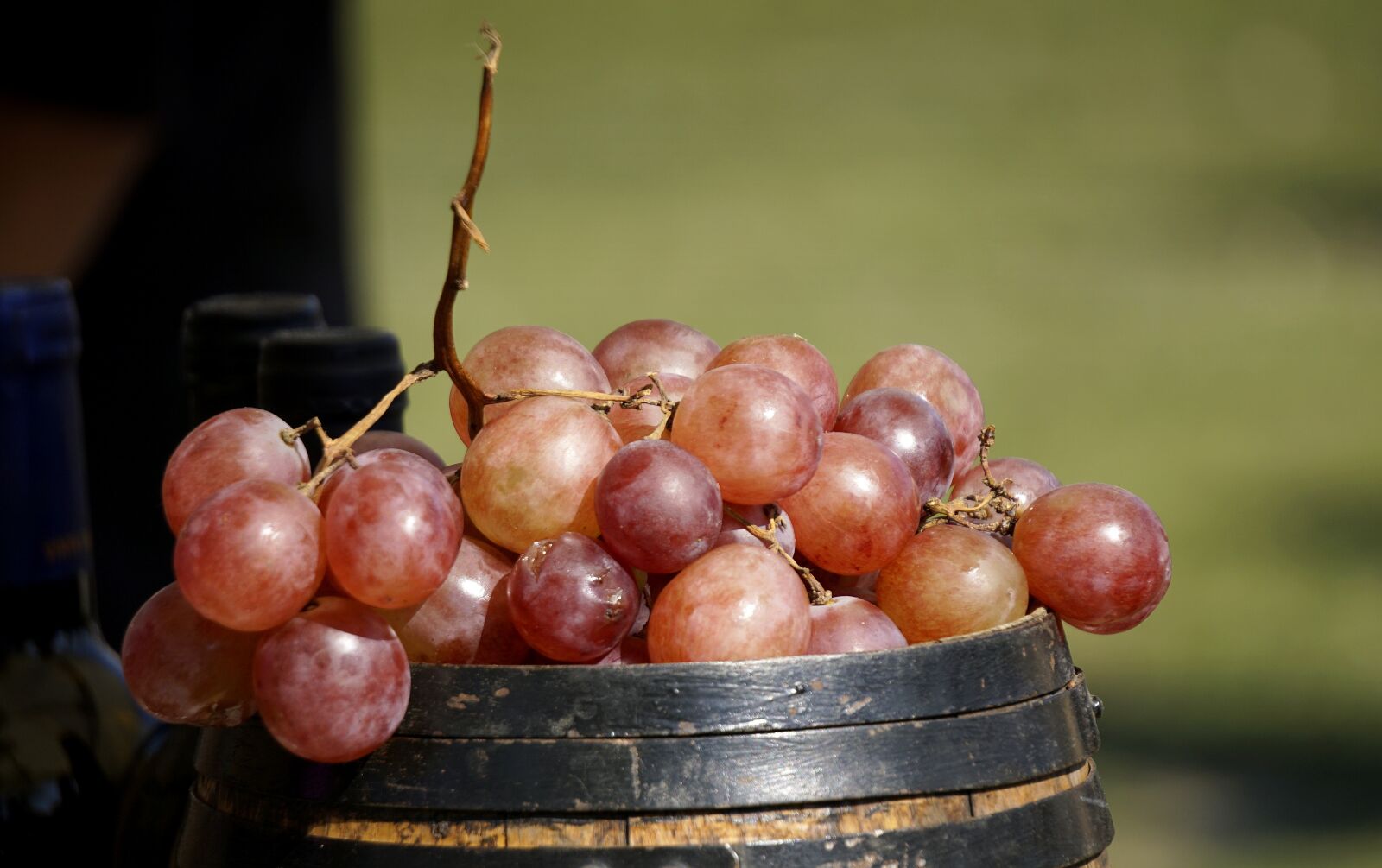 Sony E 55-210mm F4.5-6.3 OSS sample photo. Grapes, vine, cluster photography