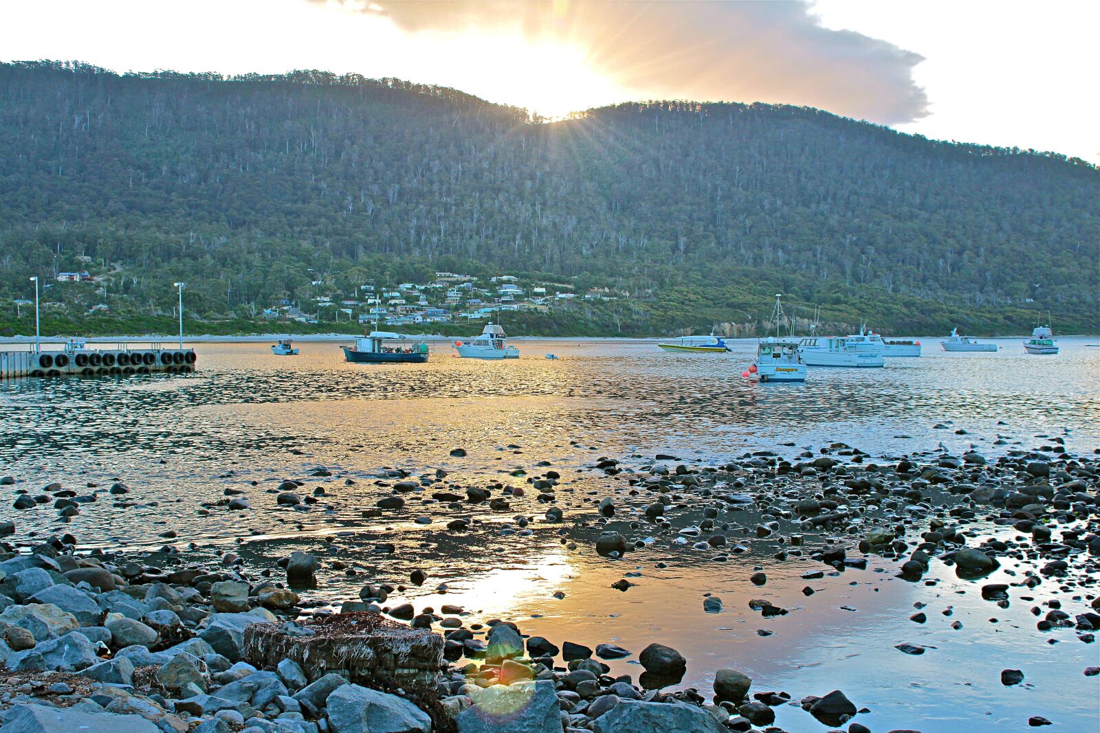 Canon EOS 600D (Rebel EOS T3i / EOS Kiss X5) sample photo. Australia, tasmania, nature photography