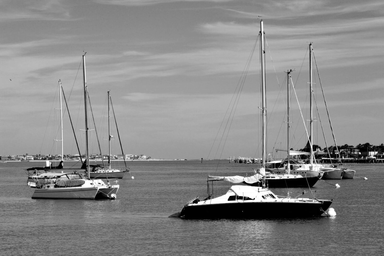 Nikon D3300 sample photo. Sailboats, river, moored photography