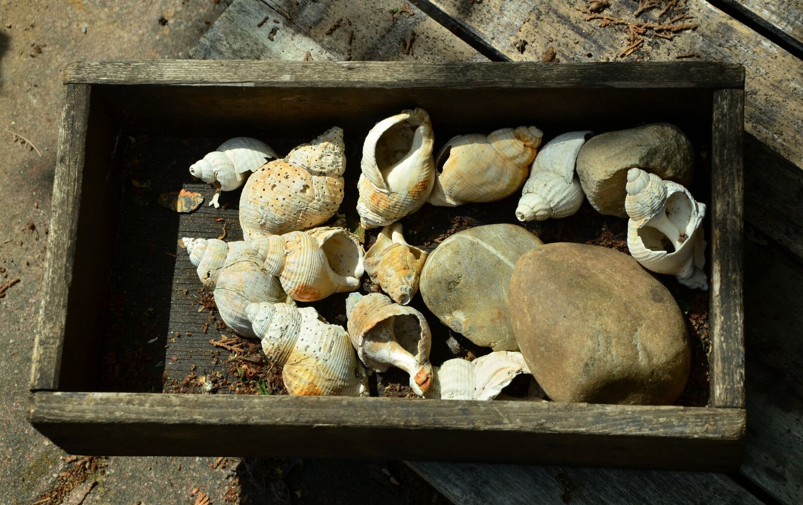 Nikon D5100 sample photo. Wooden box, old wood photography