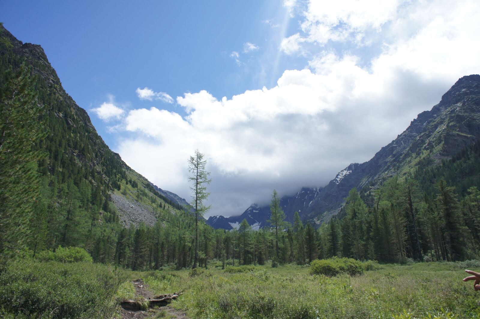 Sony E 16mm F2.8 sample photo. Siberia, forest, trees photography