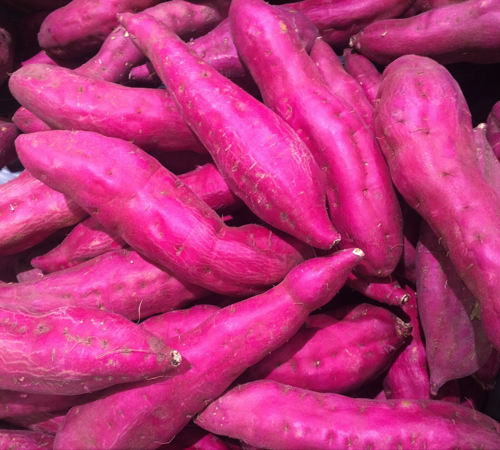 iPhone 5s back camera 4.15mm f/2.2 sample photo. Sweet potato, red purple photography