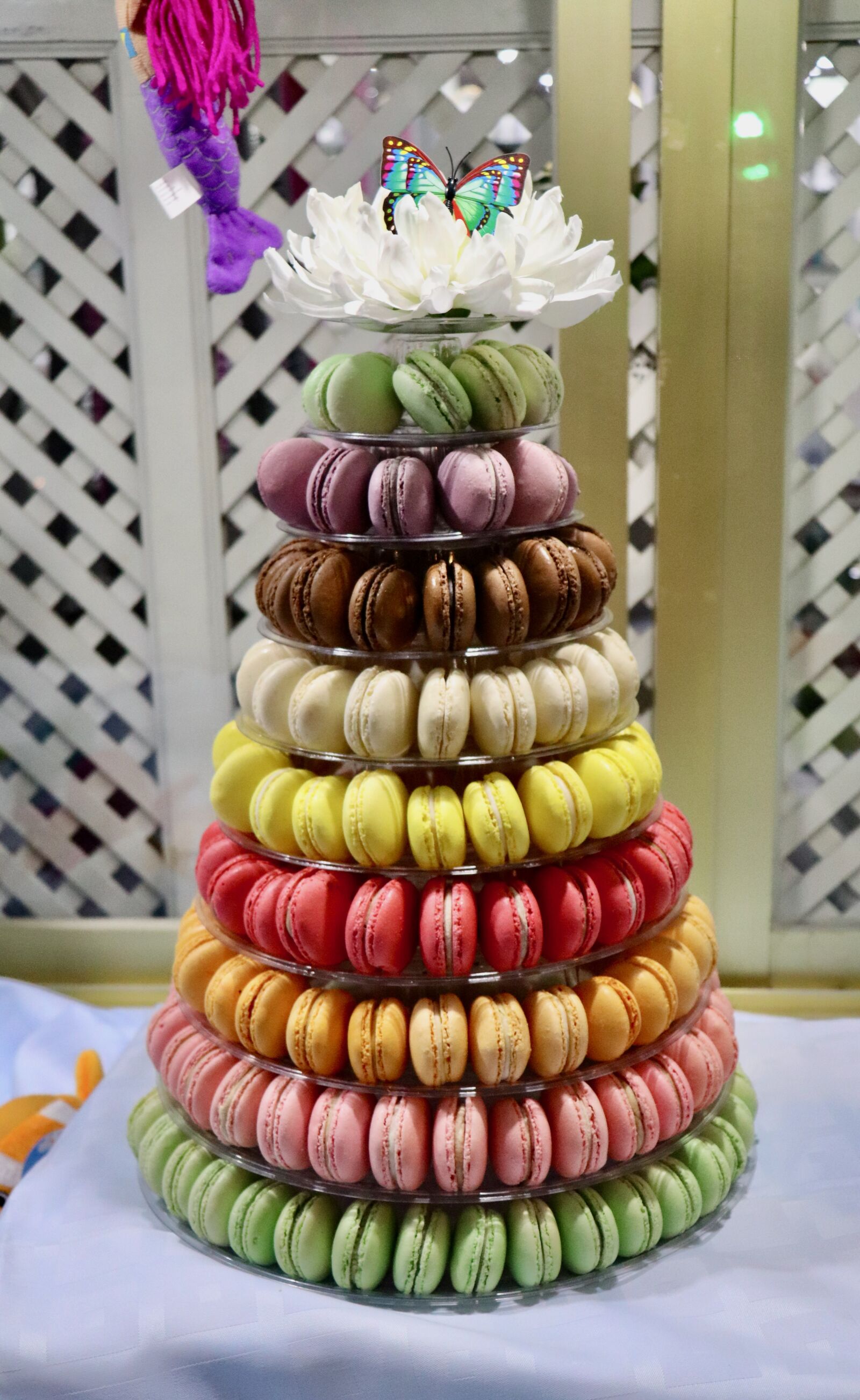 Canon EOS 800D (EOS Rebel T7i / EOS Kiss X9i) + Canon EF-S 18-55mm F4-5.6 IS STM sample photo. Macaroon, color, dessert photography