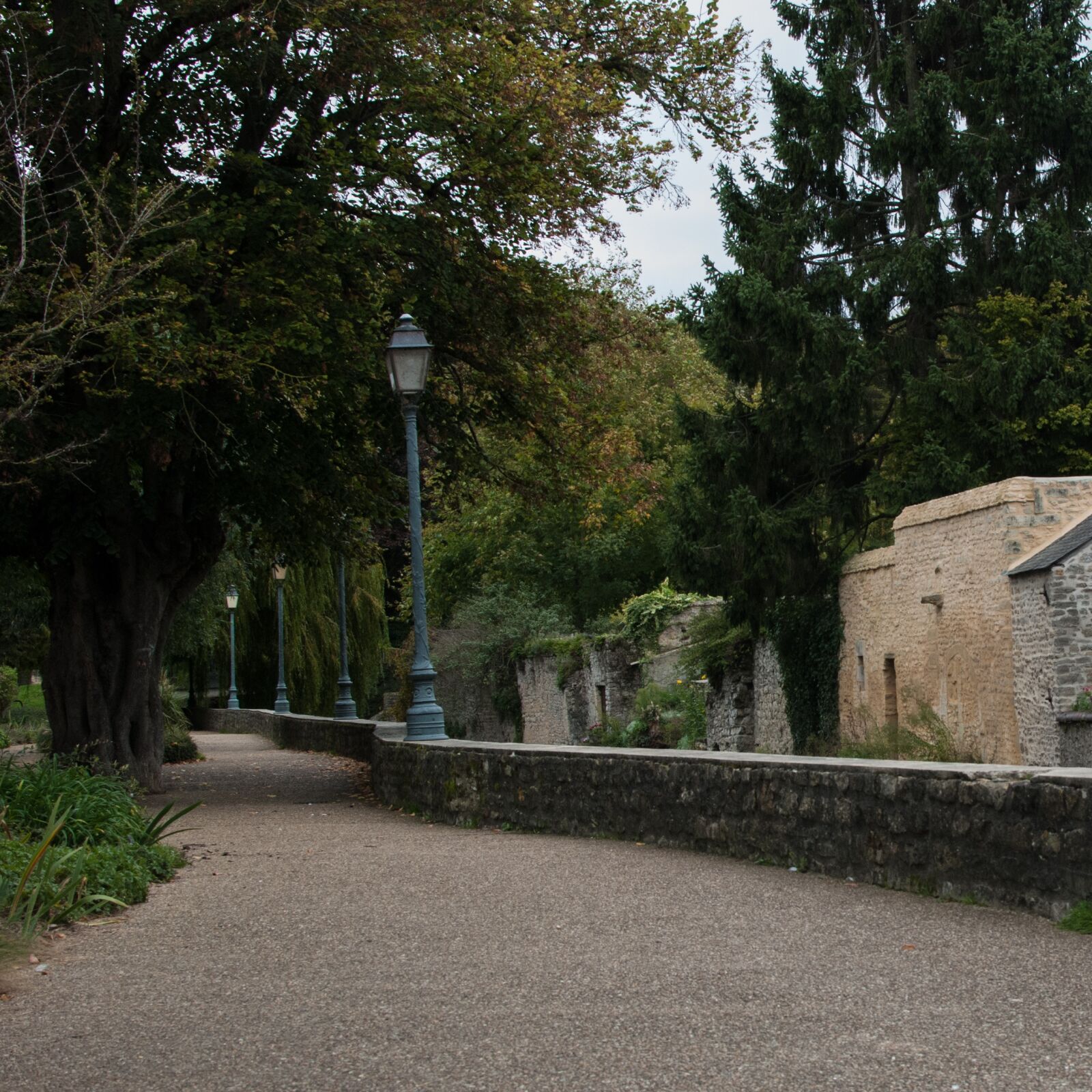 Nikon D80 sample photo. Park, path, allee photography