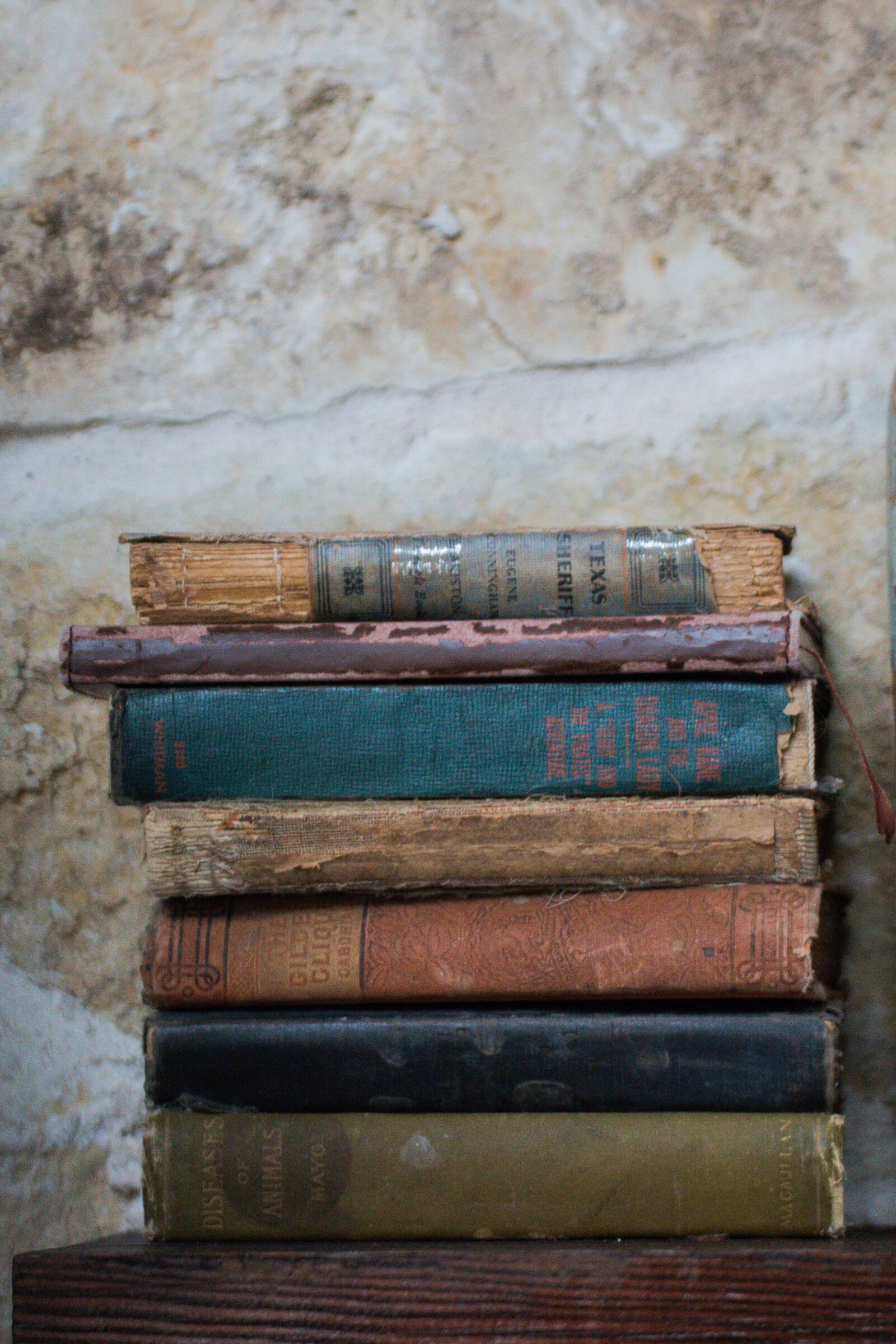 Canon EOS 70D sample photo. Background image, old, decay photography