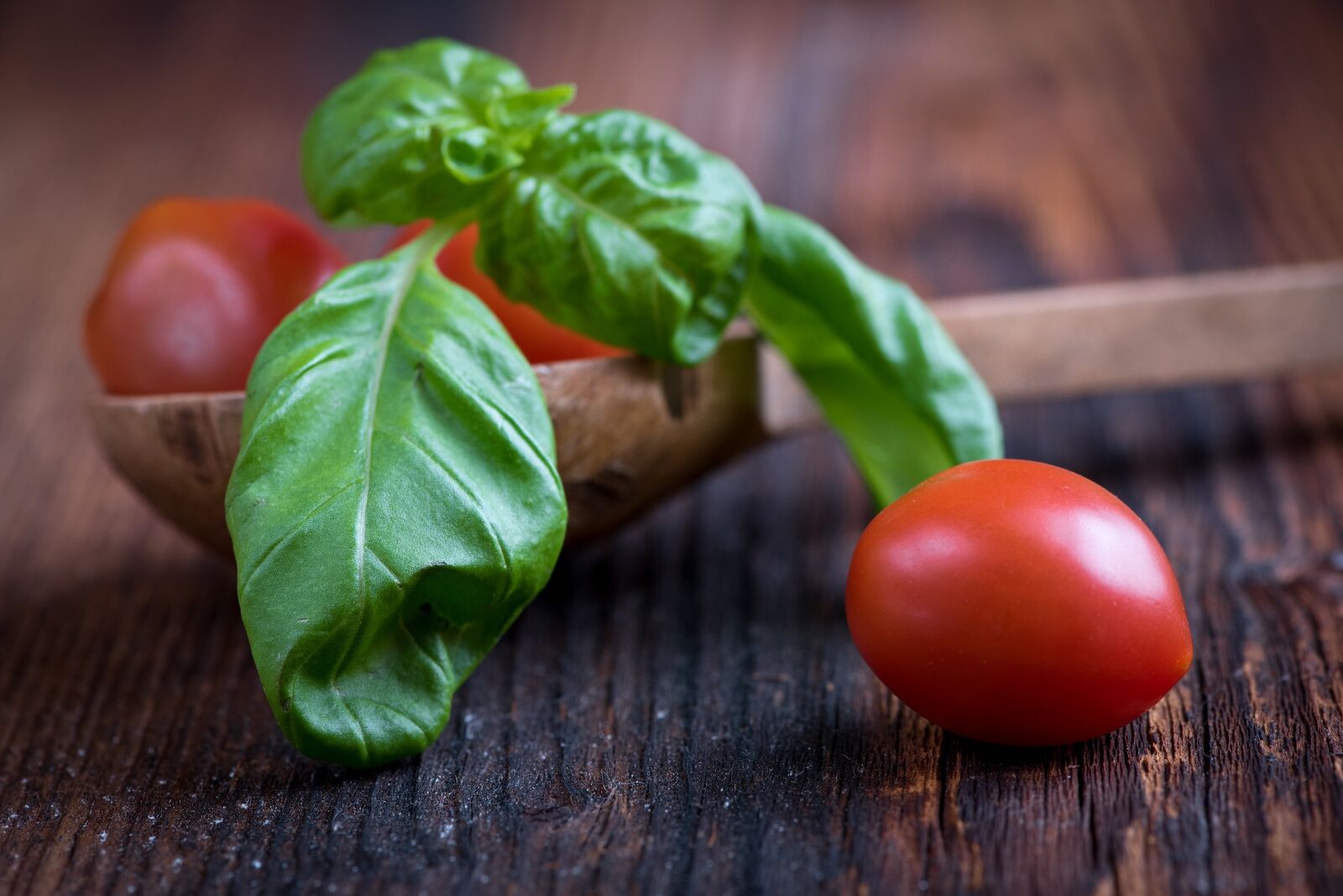 Nikon D750 sample photo. Basil, green, basil leaf photography