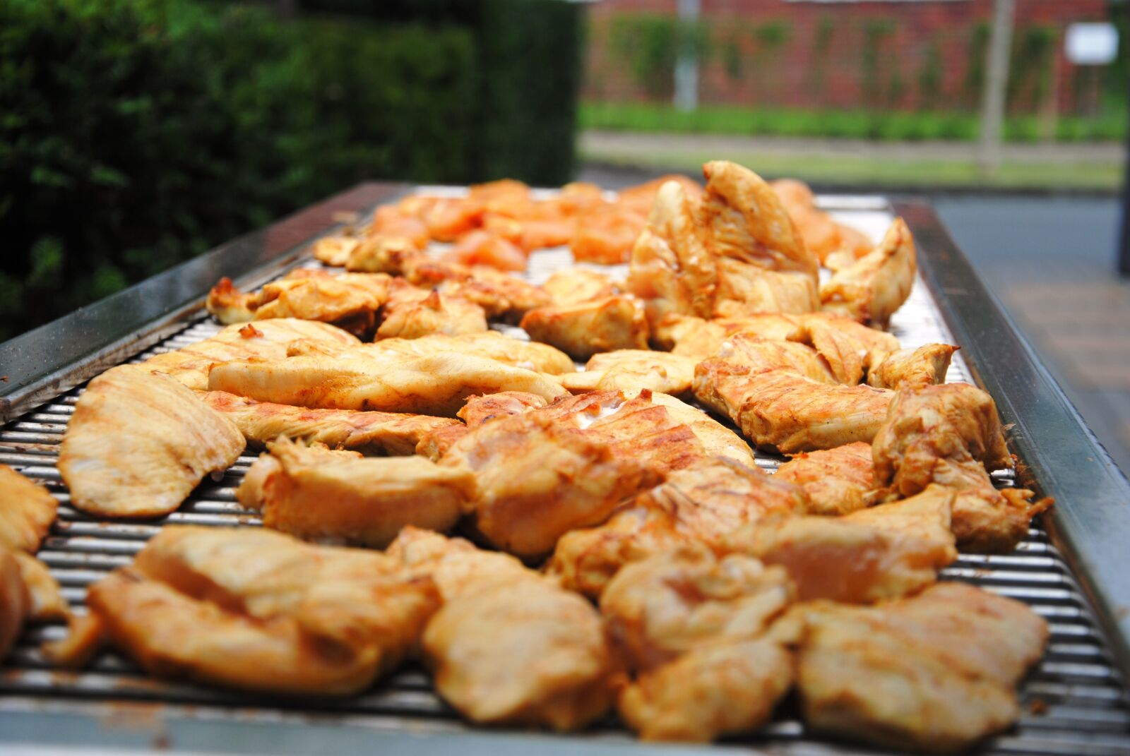 Nikon D3000 sample photo. Meat, barbecue, grill photography