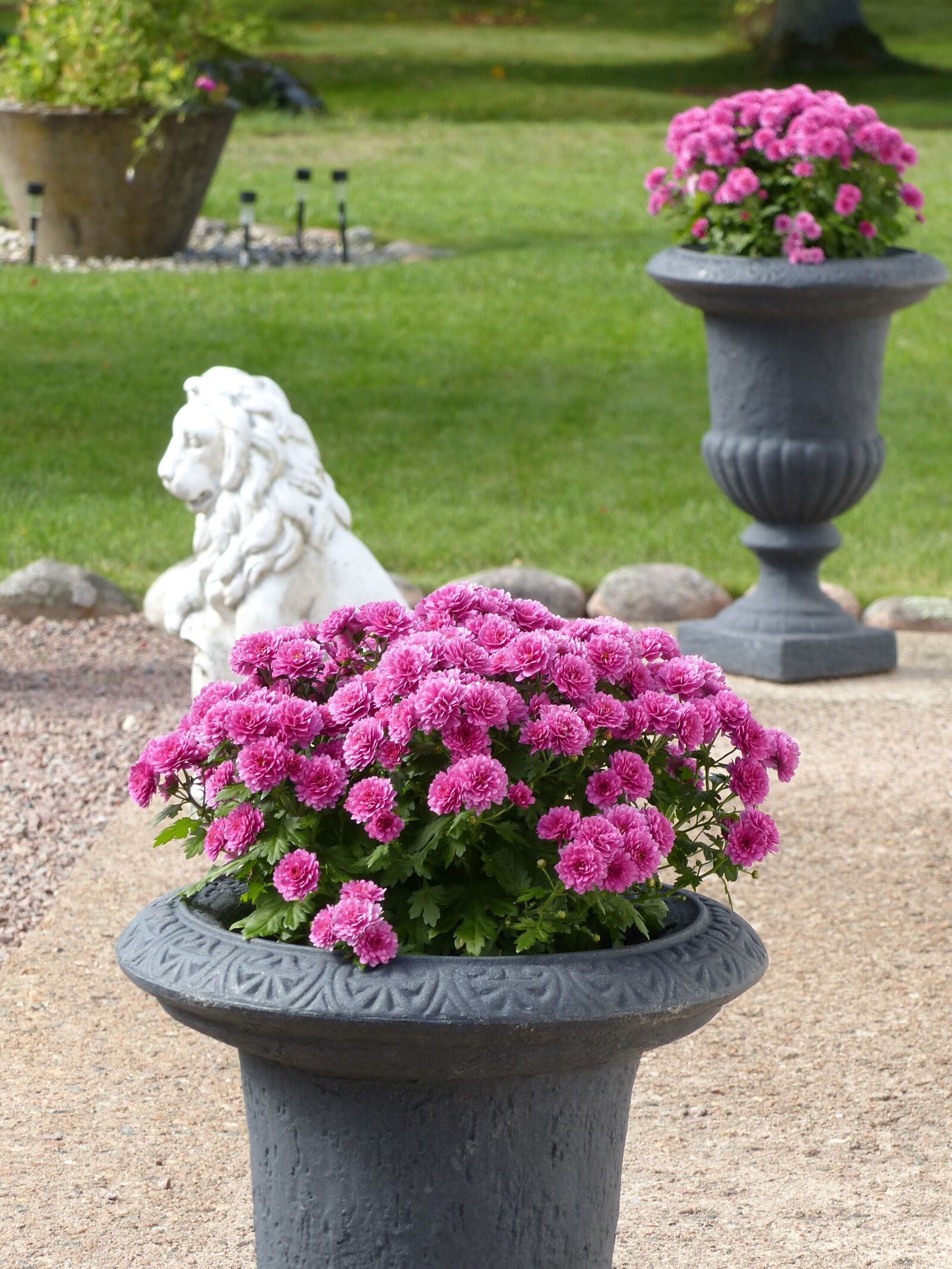 Panasonic Lumix DMC-FZ200 sample photo. Garden, pots, flowers photography
