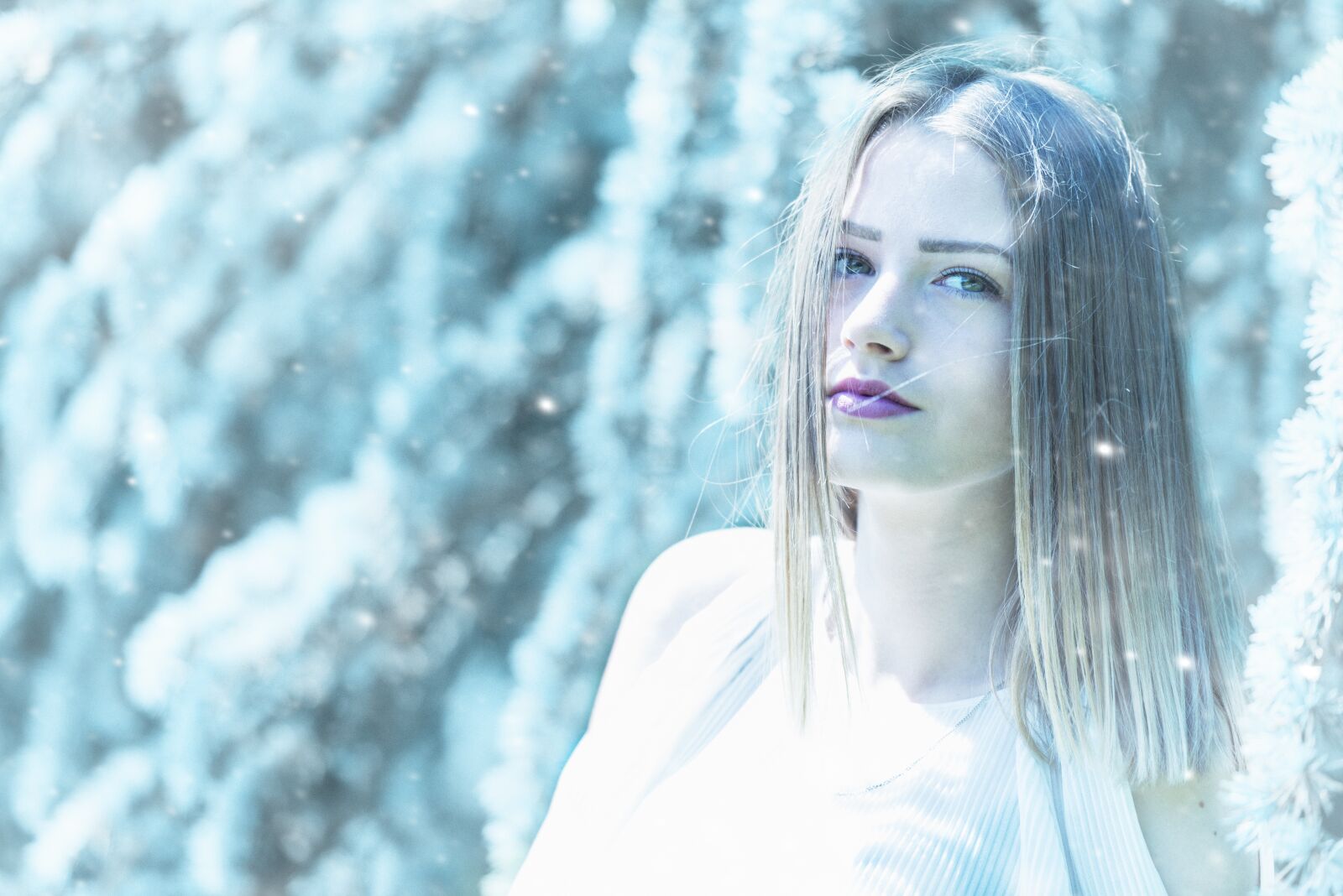 Nikon D800 sample photo. Portrait, winter, cold photography