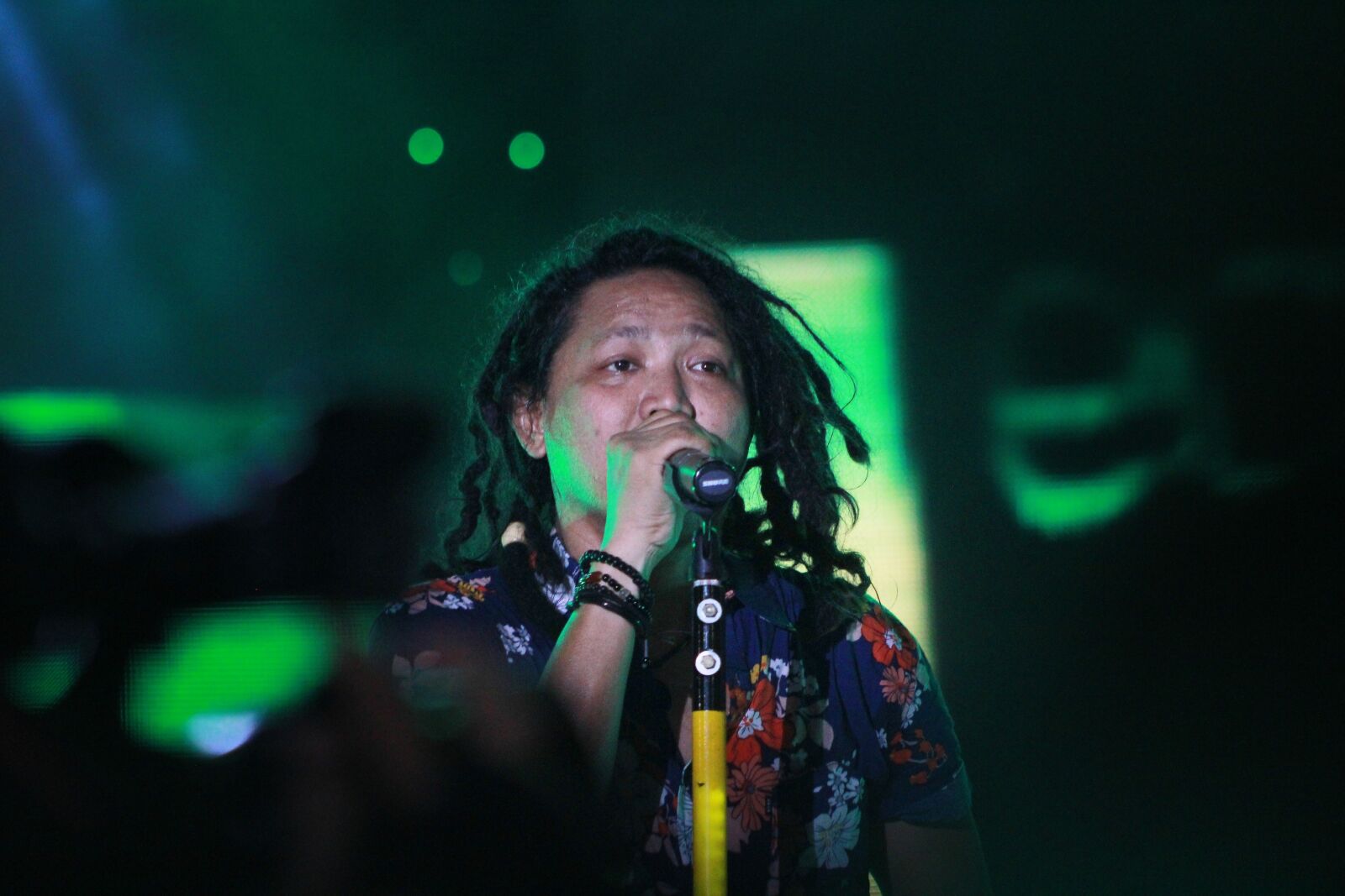 Canon EOS 550D (EOS Rebel T2i / EOS Kiss X4) sample photo. Concert, music, gold photography