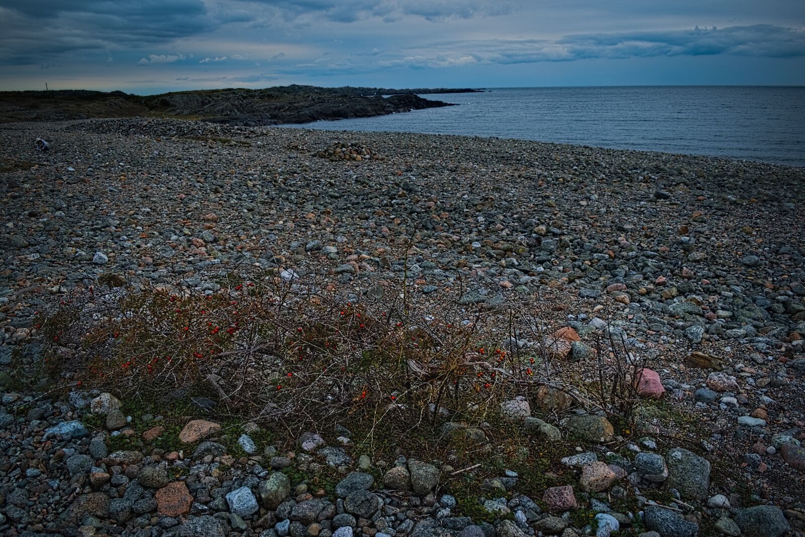 Nikon D3500 sample photo. Beach, sand, sea photography