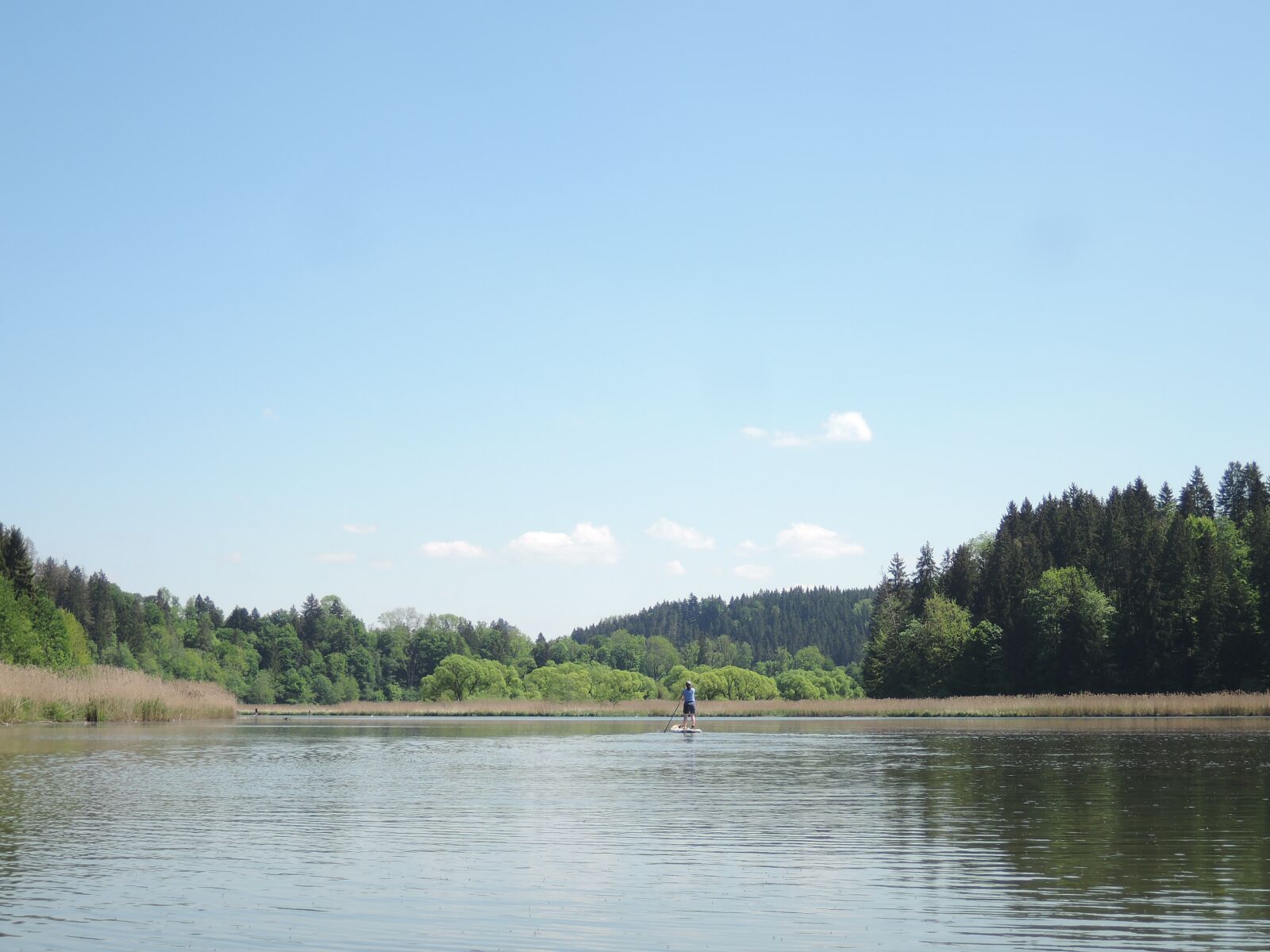 Nikon Coolpix P330 sample photo. River, iller, water photography