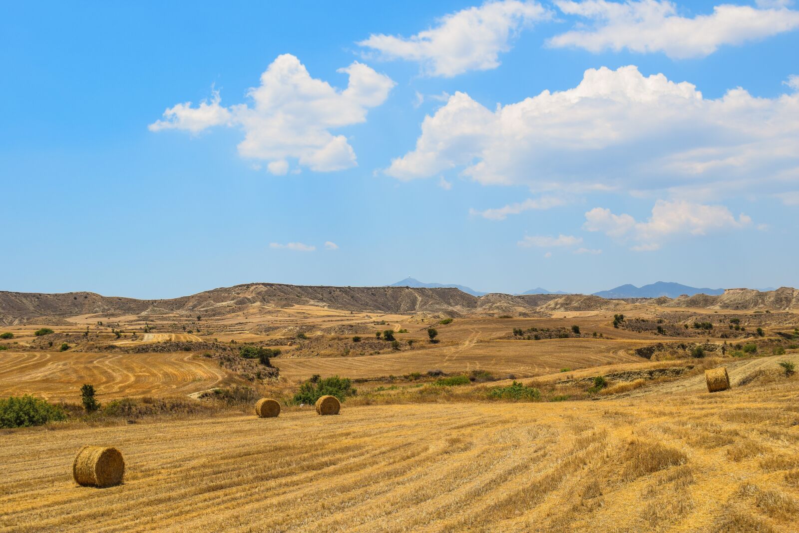 Nikon D3300 sample photo. Barley fields, hay bales photography