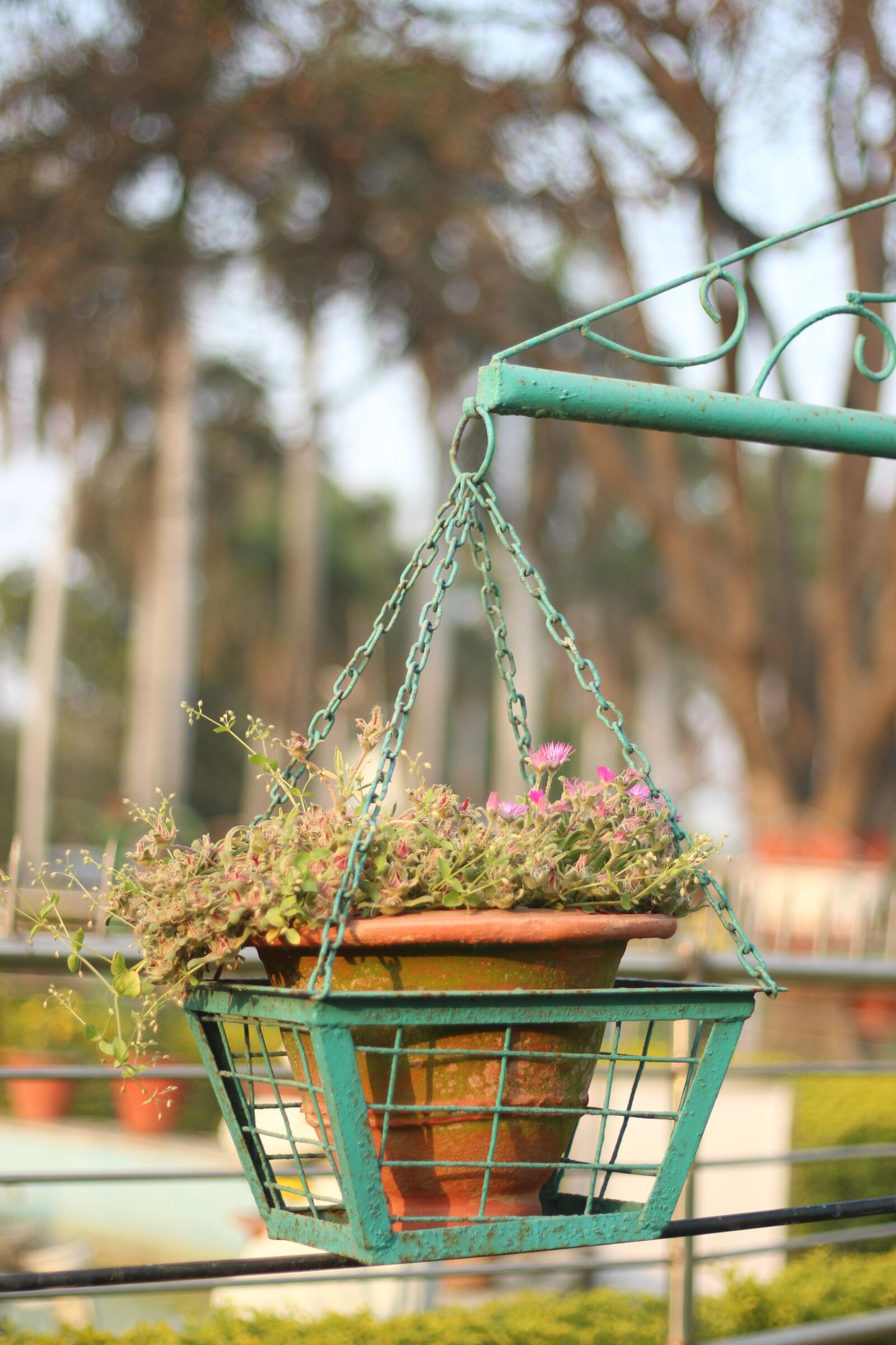 Canon EF 50mm F1.8 STM sample photo. Photo, pic, pixabay photography
