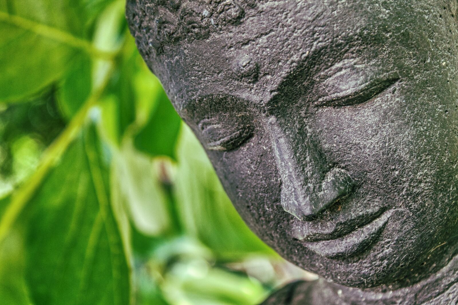 Canon EOS 1100D (EOS Rebel T3 / EOS Kiss X50) sample photo. Buddha, art, meditation photography