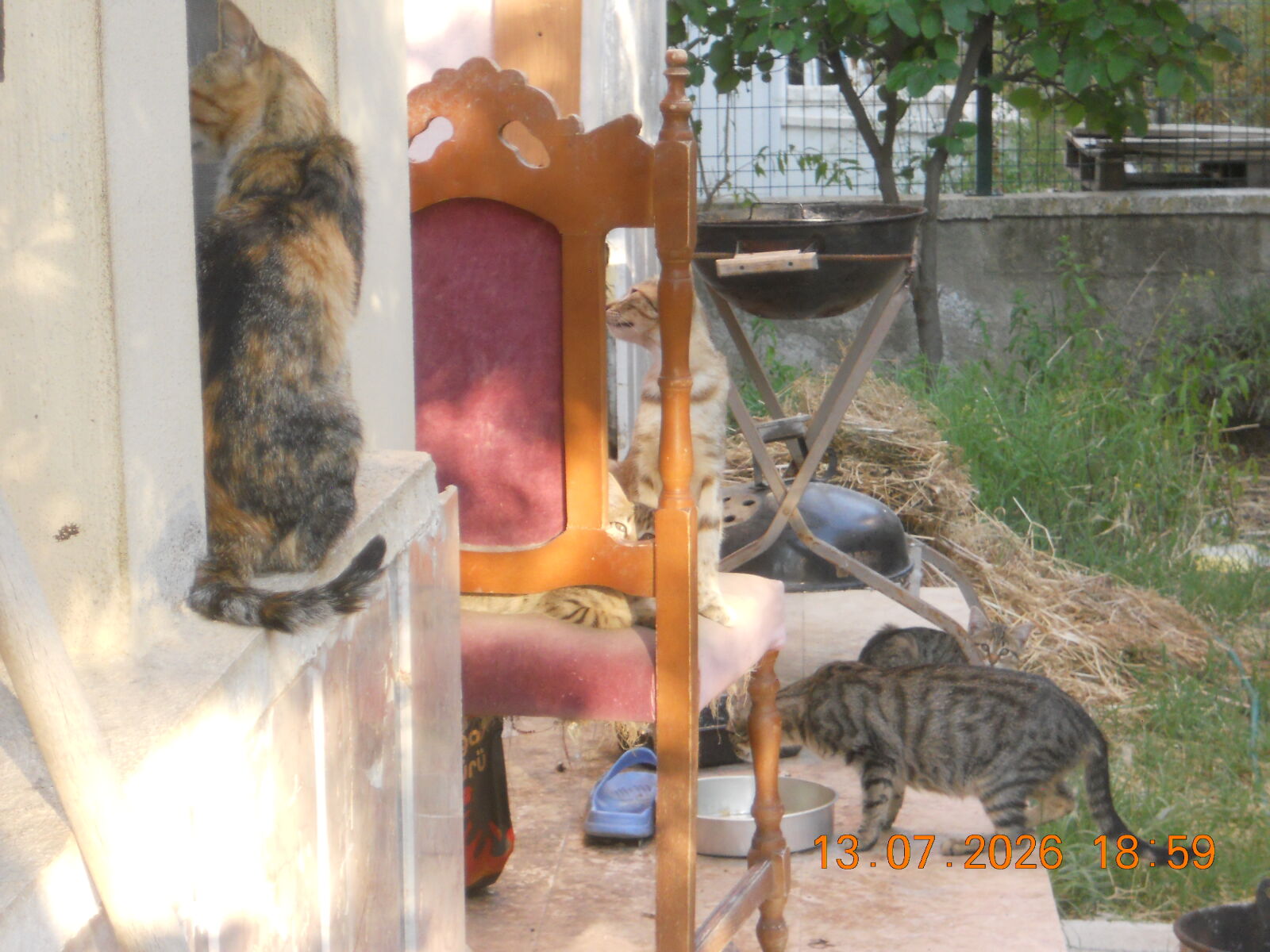 Nikon COOLPIX S2500 sample photo