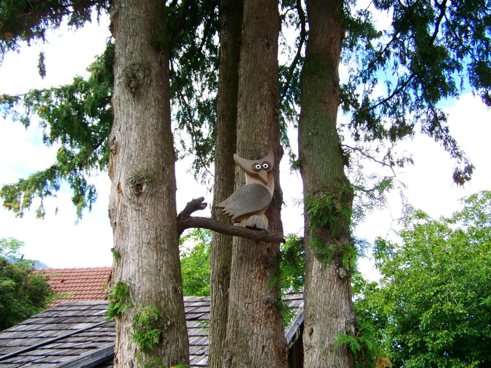 Kodak EASYSHARE ZD710 ZOOM DIGITAL CAMERA sample photo. Owl, wood owl, ornament photography