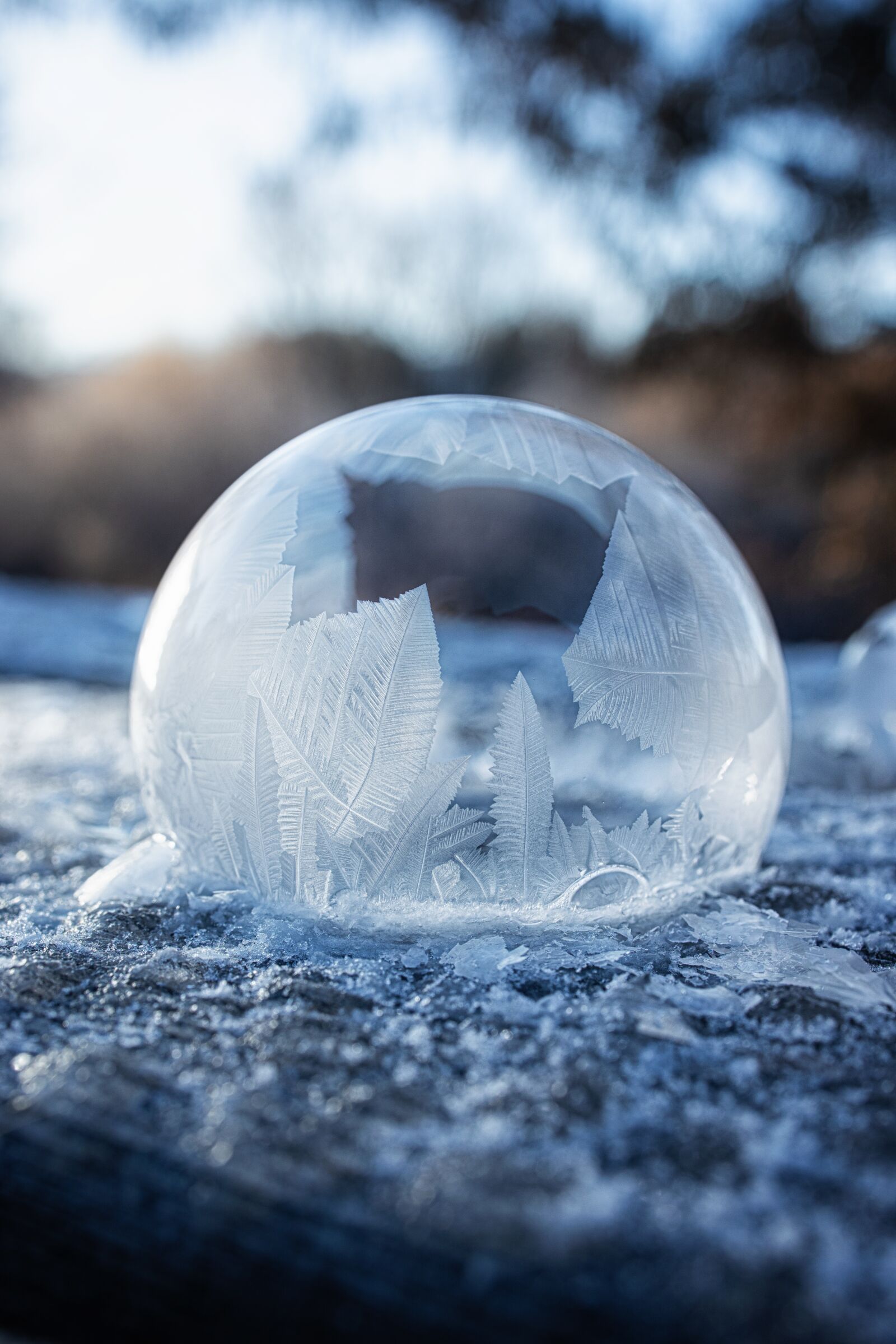 Canon EOS R sample photo. Bubble, freezing bubble, frozen photography