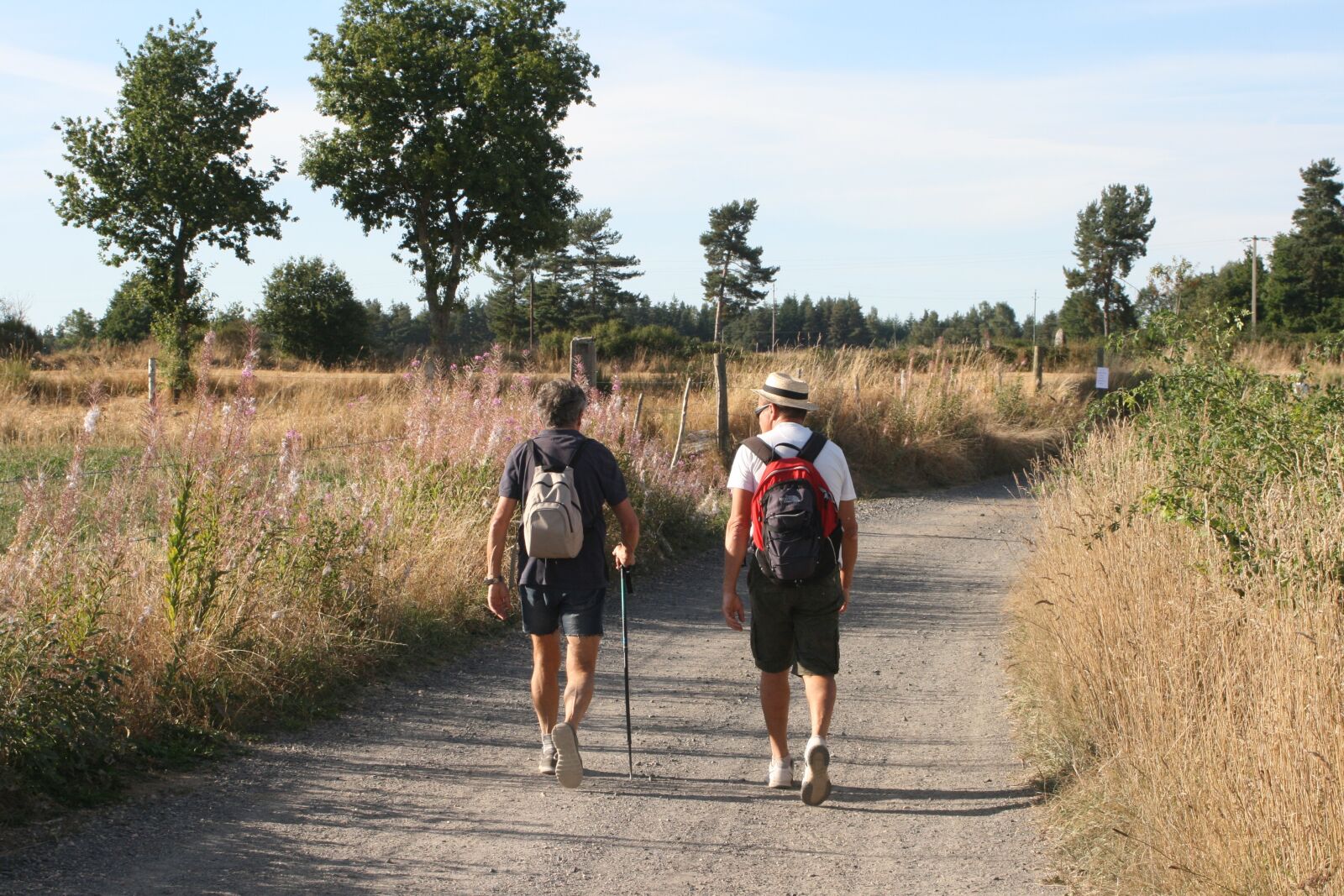Canon EOS 400D (EOS Digital Rebel XTi / EOS Kiss Digital X) sample photo. Walkers, path, country road photography