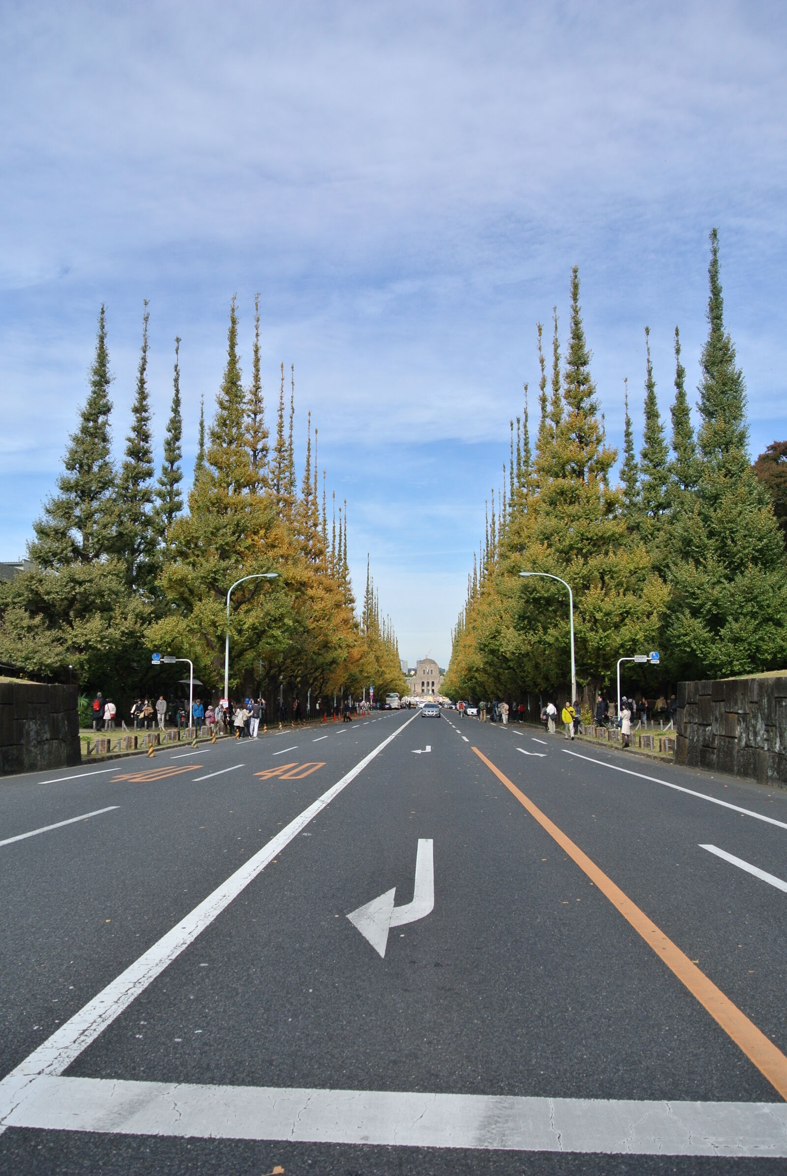Nikon 1 J1 sample photo. Direction, ginko, path, road photography