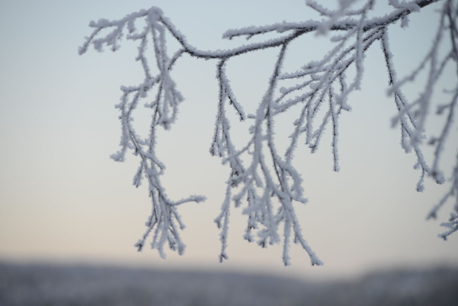 Nikon D800E sample photo. Winter, snow, landscape photography