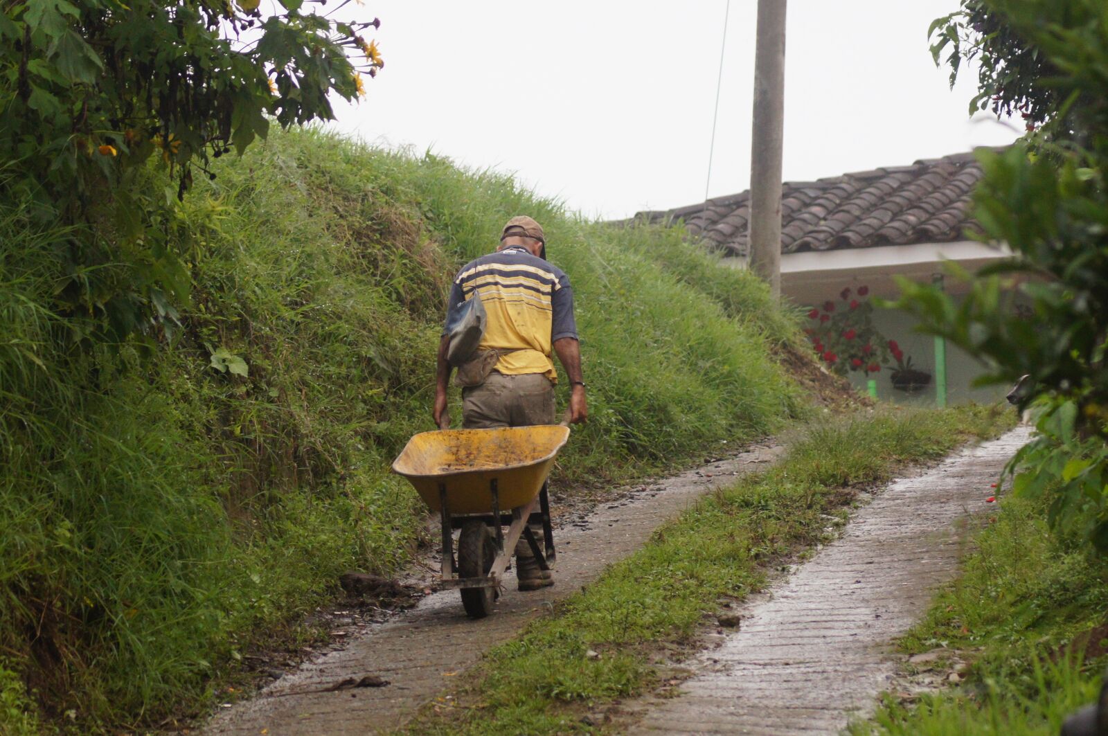 Sony SLT-A55 (SLT-A55V) sample photo. Landscapes, quindio, fauna photography