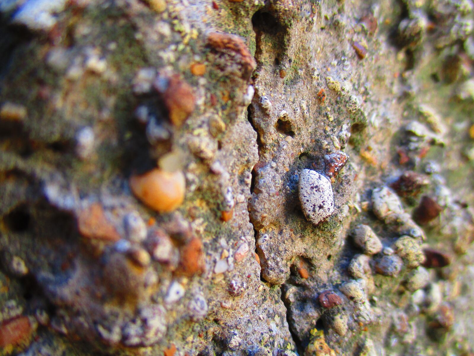 Canon PowerShot ELPH 160 (IXUS 160 / IXY 150) sample photo. Wall, stones, crack photography