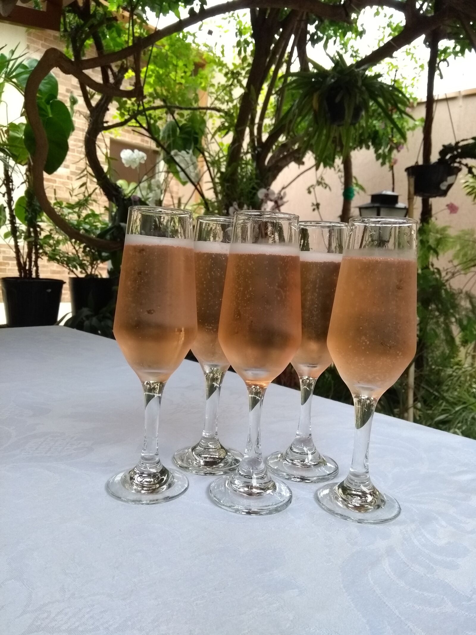 Motorola Moto G (5th Gen) sample photo. Drinks, celebrate, champagne photography