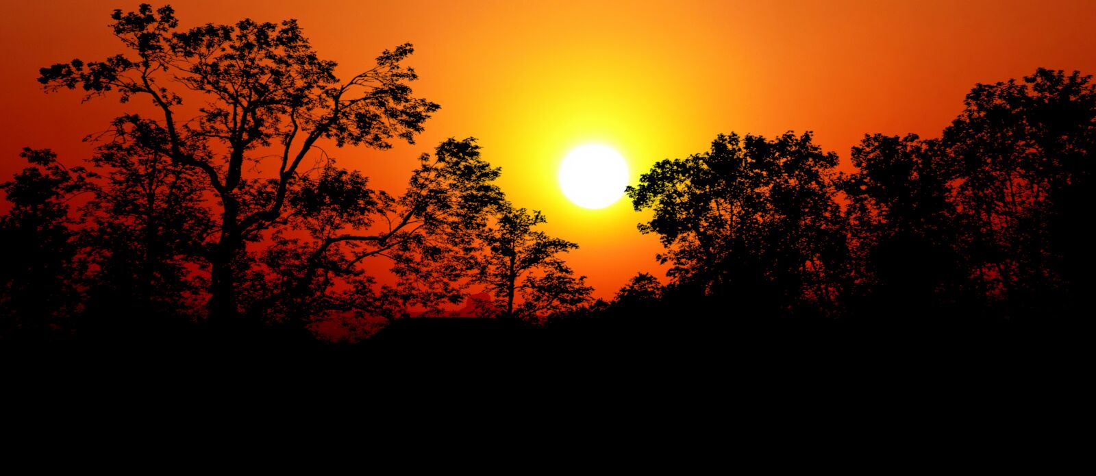 Panasonic Lumix DMC-FZ200 sample photo. Sunset, nature, landscape photography