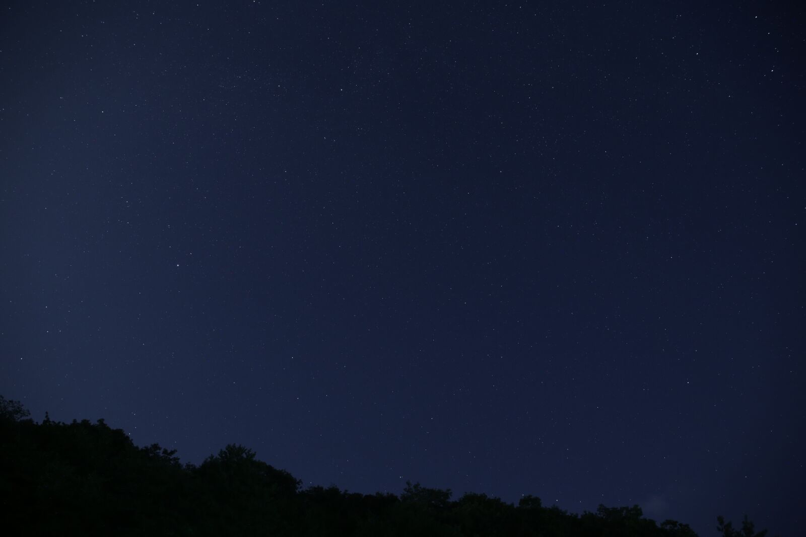 Canon EF 24-70mm F2.8L II USM sample photo. Five colors of divisor photography