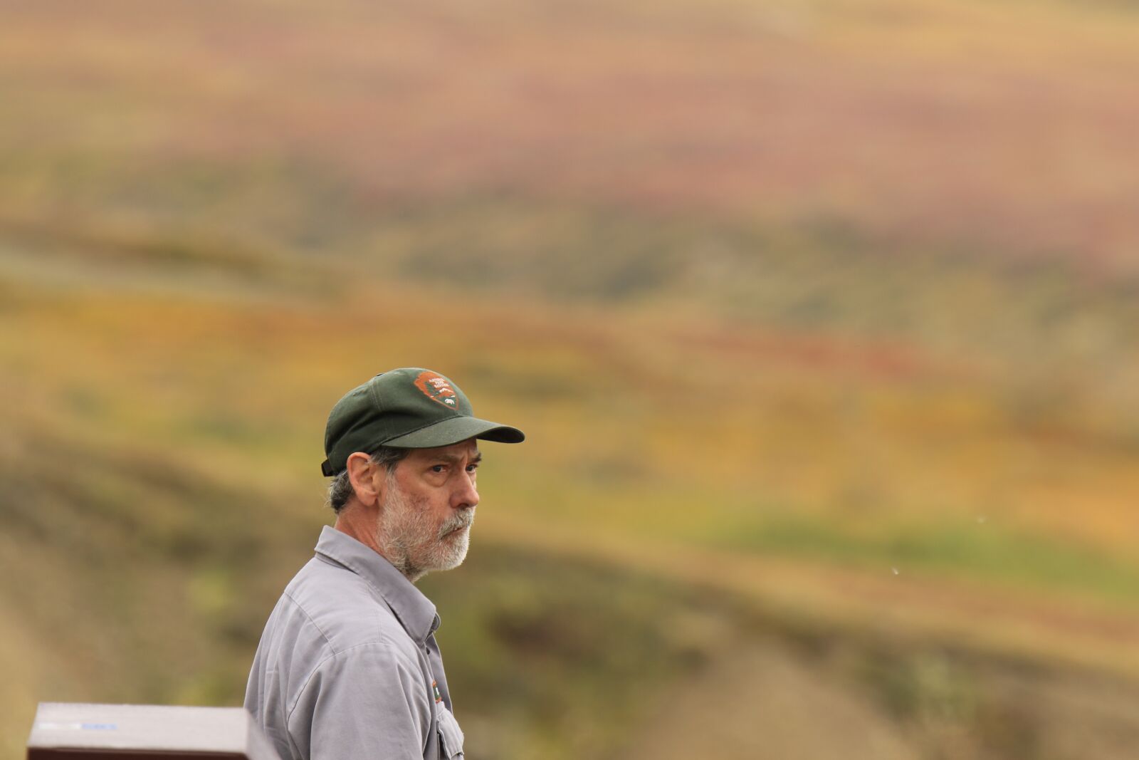 Canon EOS 7D Mark II sample photo. Bear, alert, ranger photography