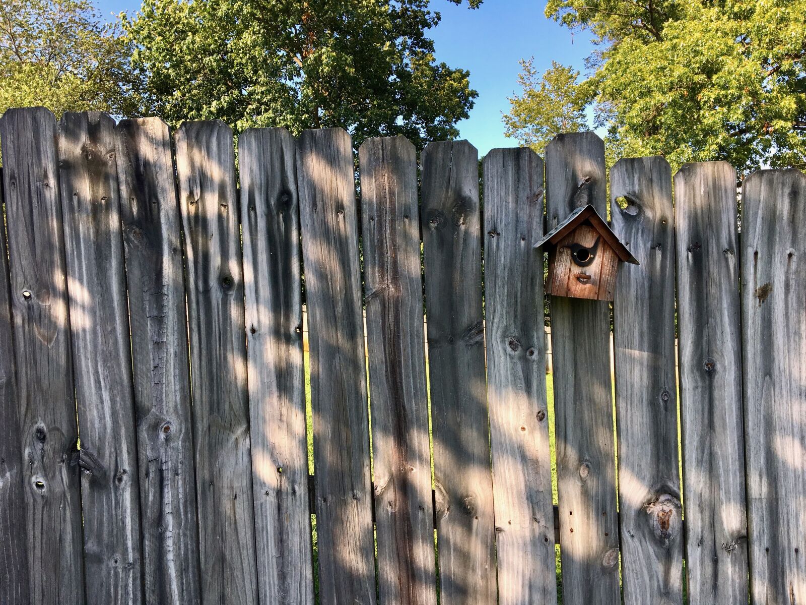 Apple iPhone 6s sample photo. Fence, birdhouse, wall photography