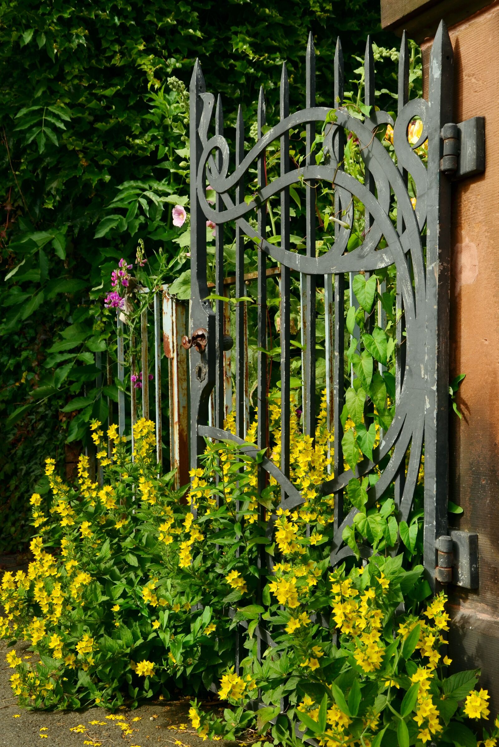 Nikon D5100 sample photo. Goal, iron, old photography