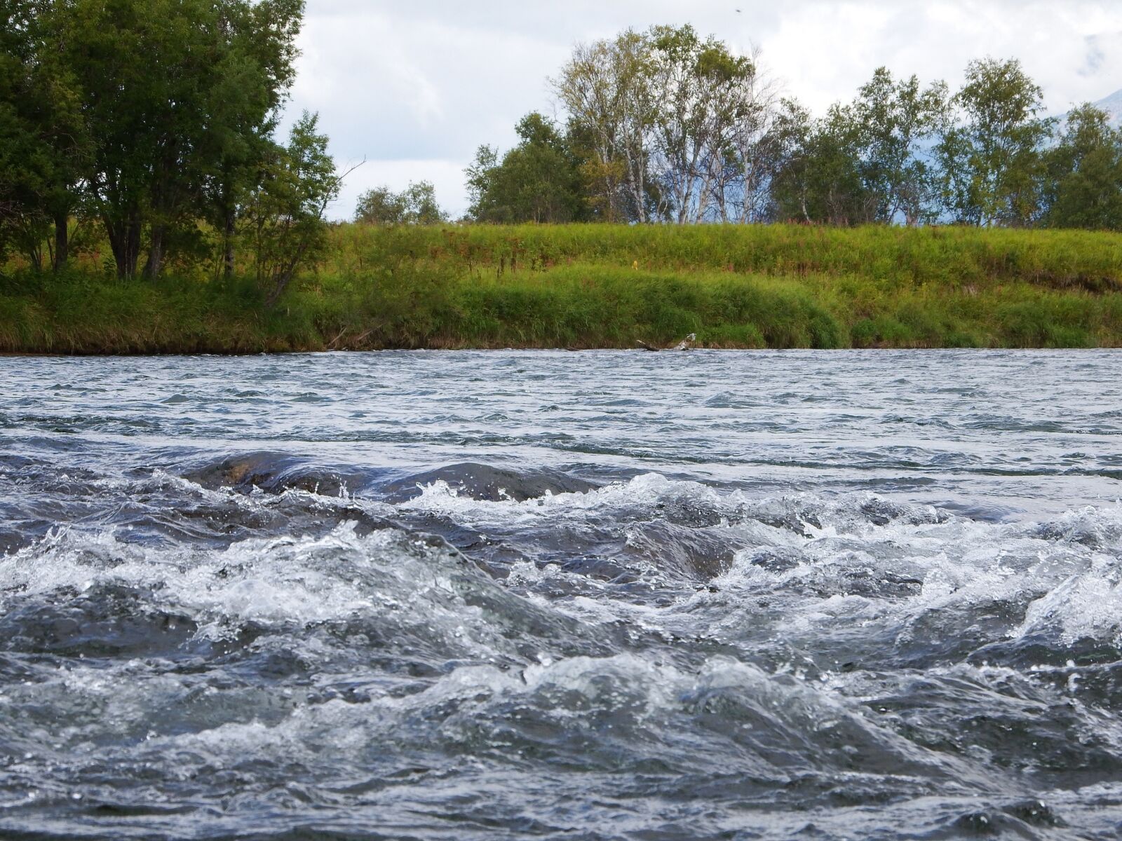 Fujifilm FinePix S1 sample photo. River, fishing, alloy photography