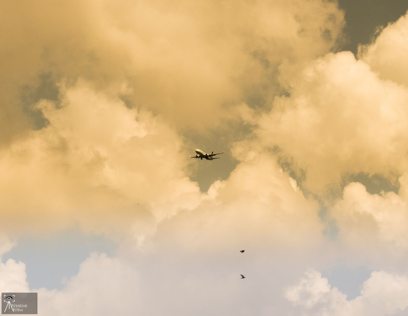 Nikon D3300 sample photo. Aeroplane photography