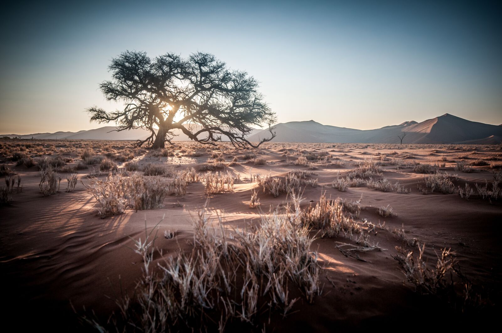 Nikon D300S sample photo. Africa, namibia, safari photography