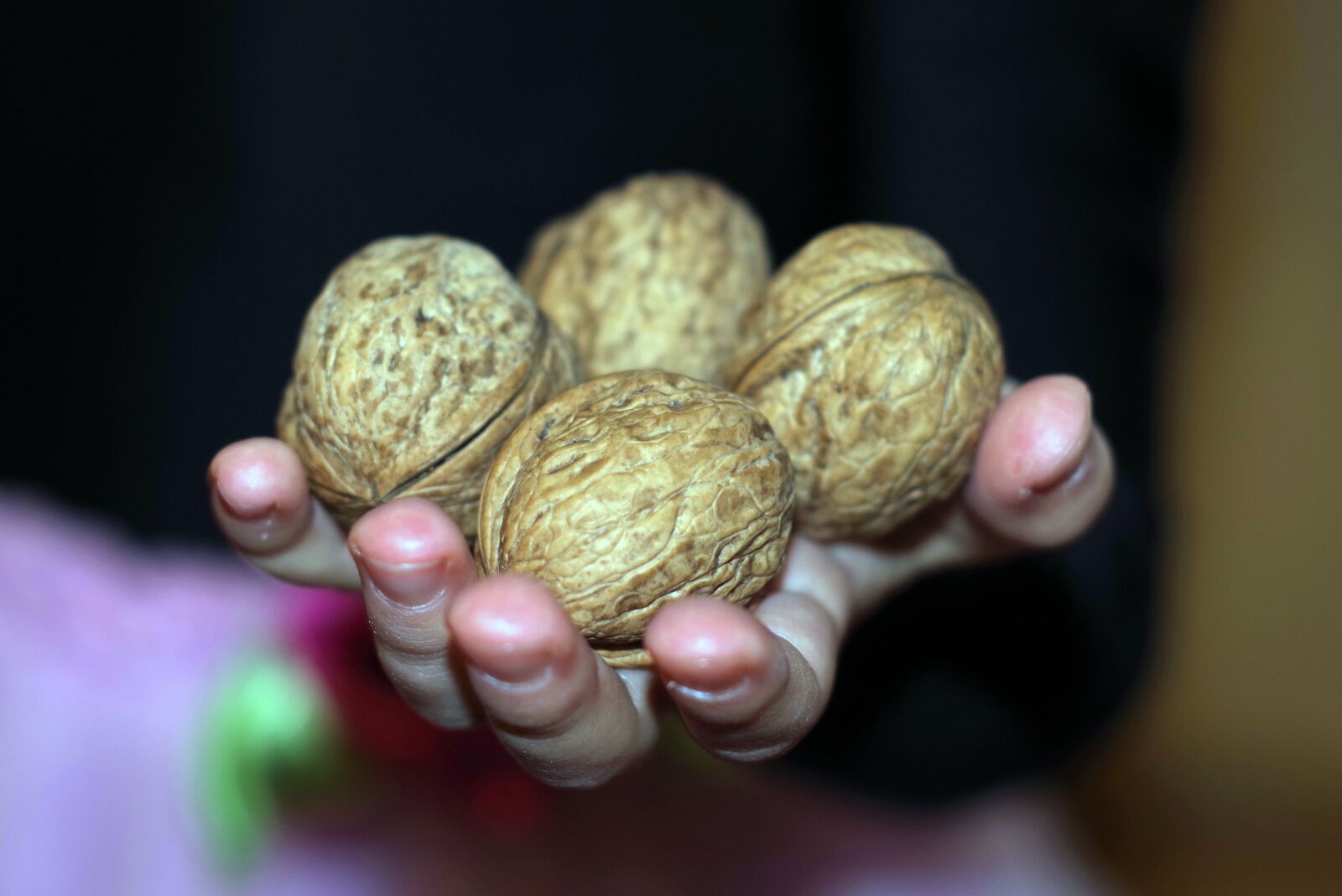 Pentax K-S2 sample photo. Nuts, gift, child photography