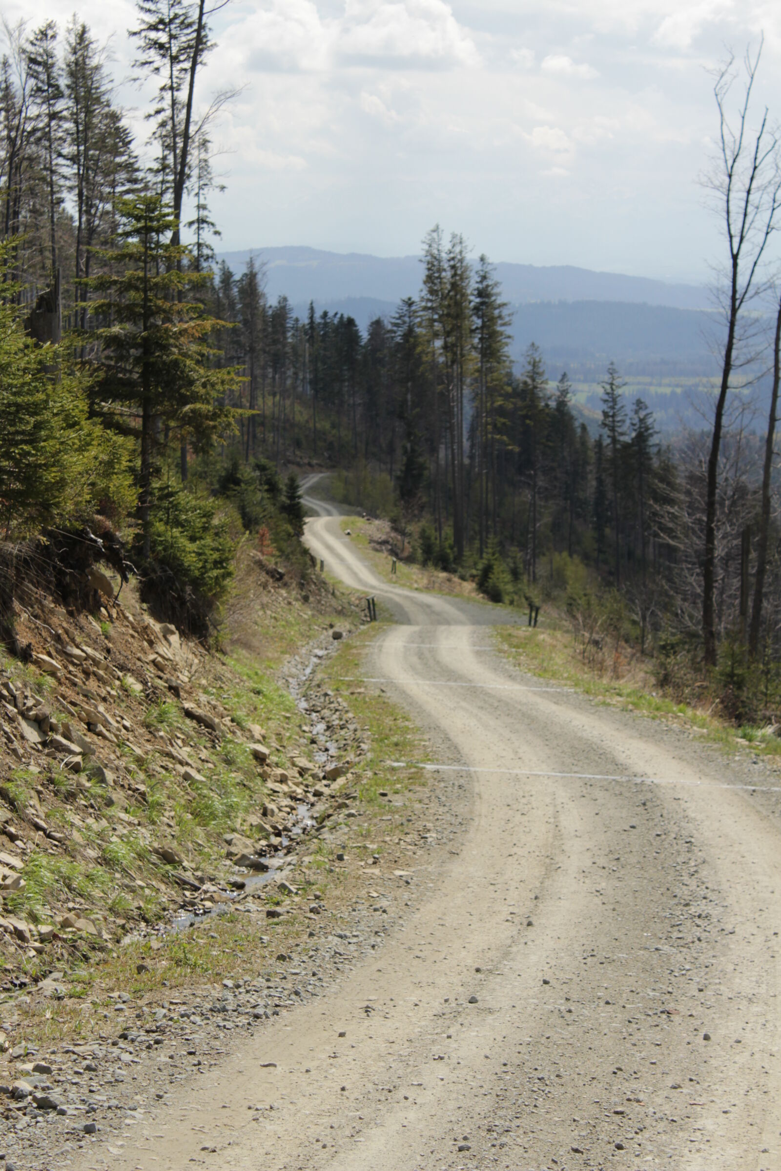 Canon EOS 1200D (EOS Rebel T5 / EOS Kiss X70 / EOS Hi) sample photo. Forest, mountains, road photography