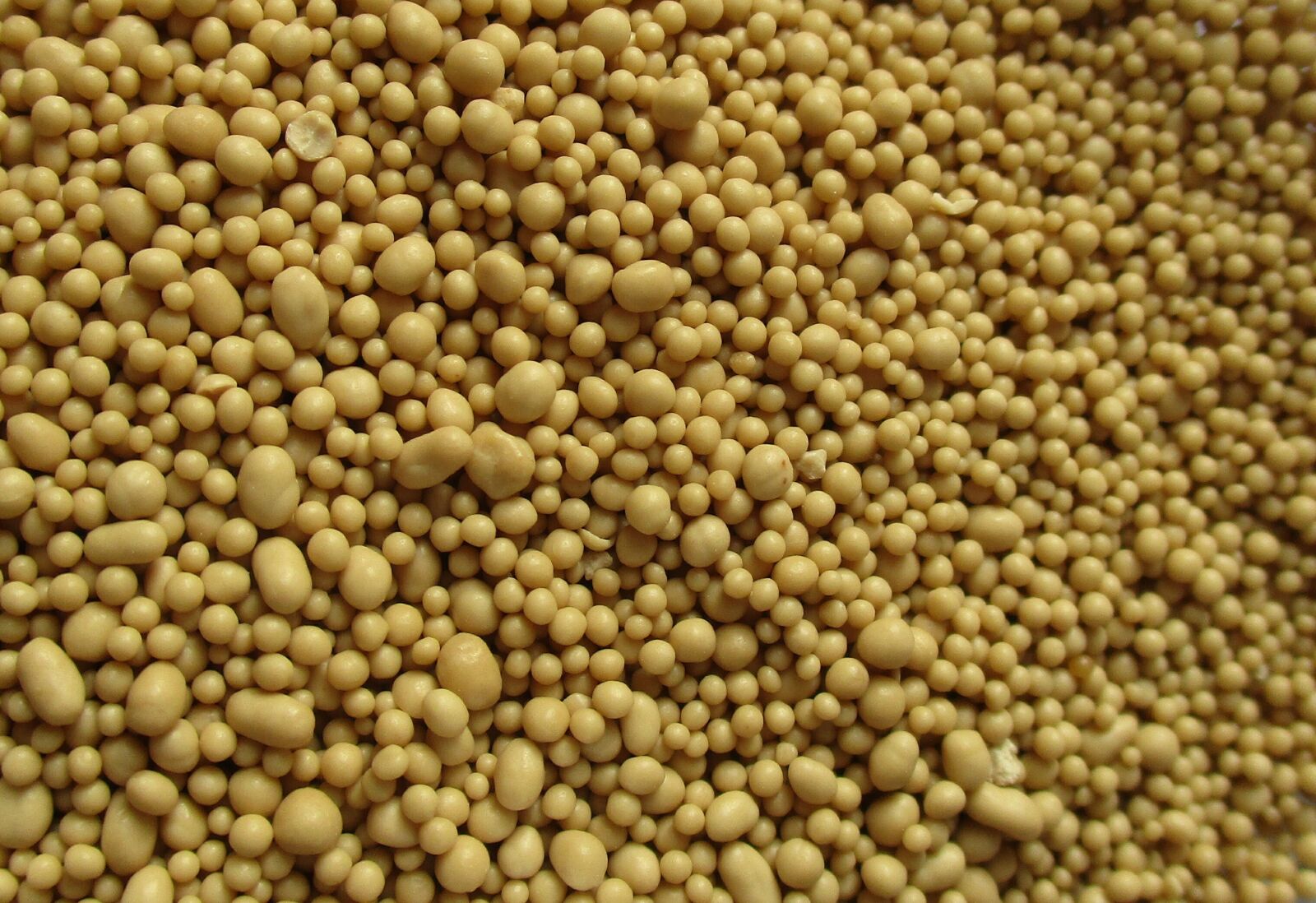 Canon IXUS 185 sample photo. Yeast, brewers yeast, bread photography