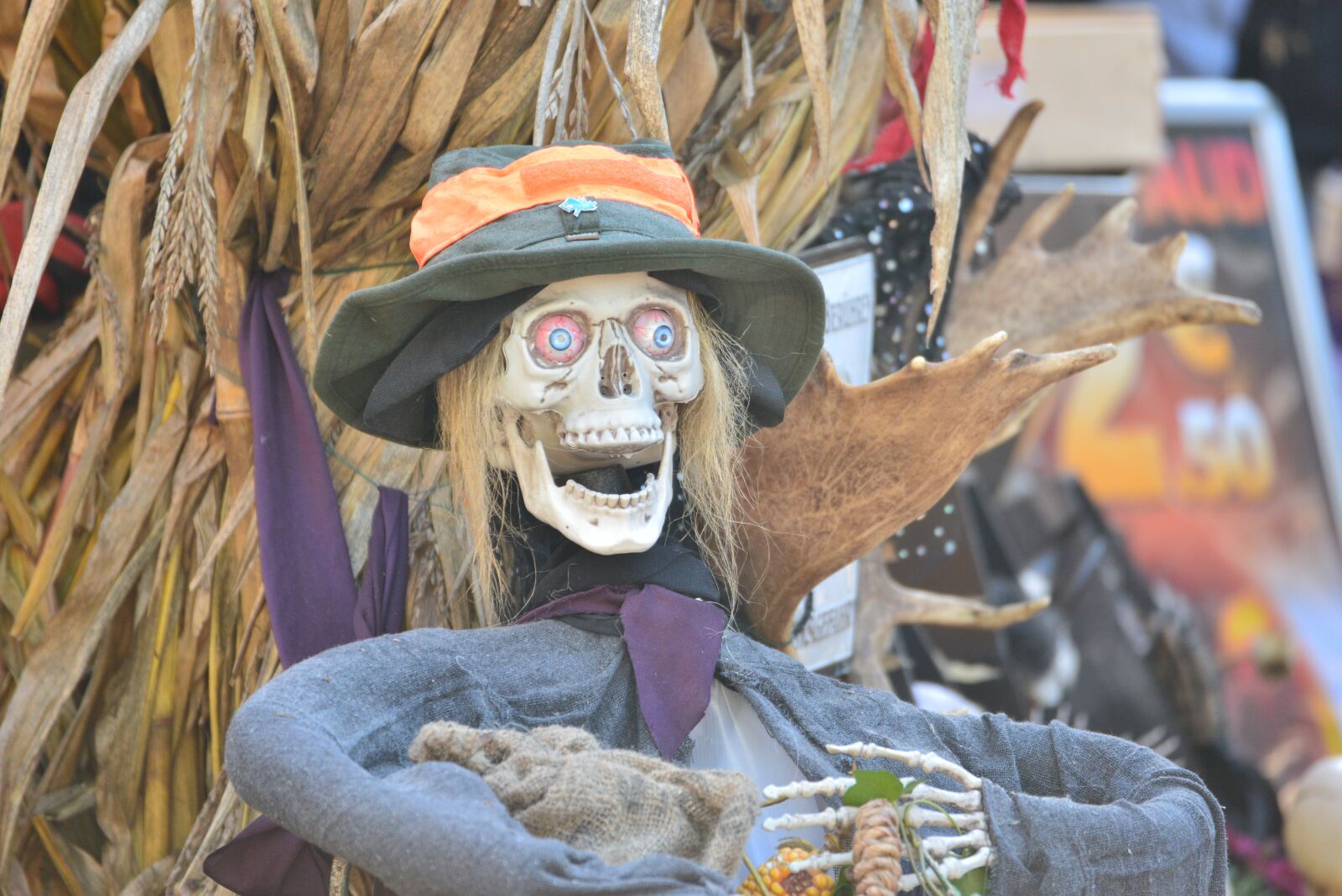 Nikon D610 sample photo. Halloween, skeleton, death photography
