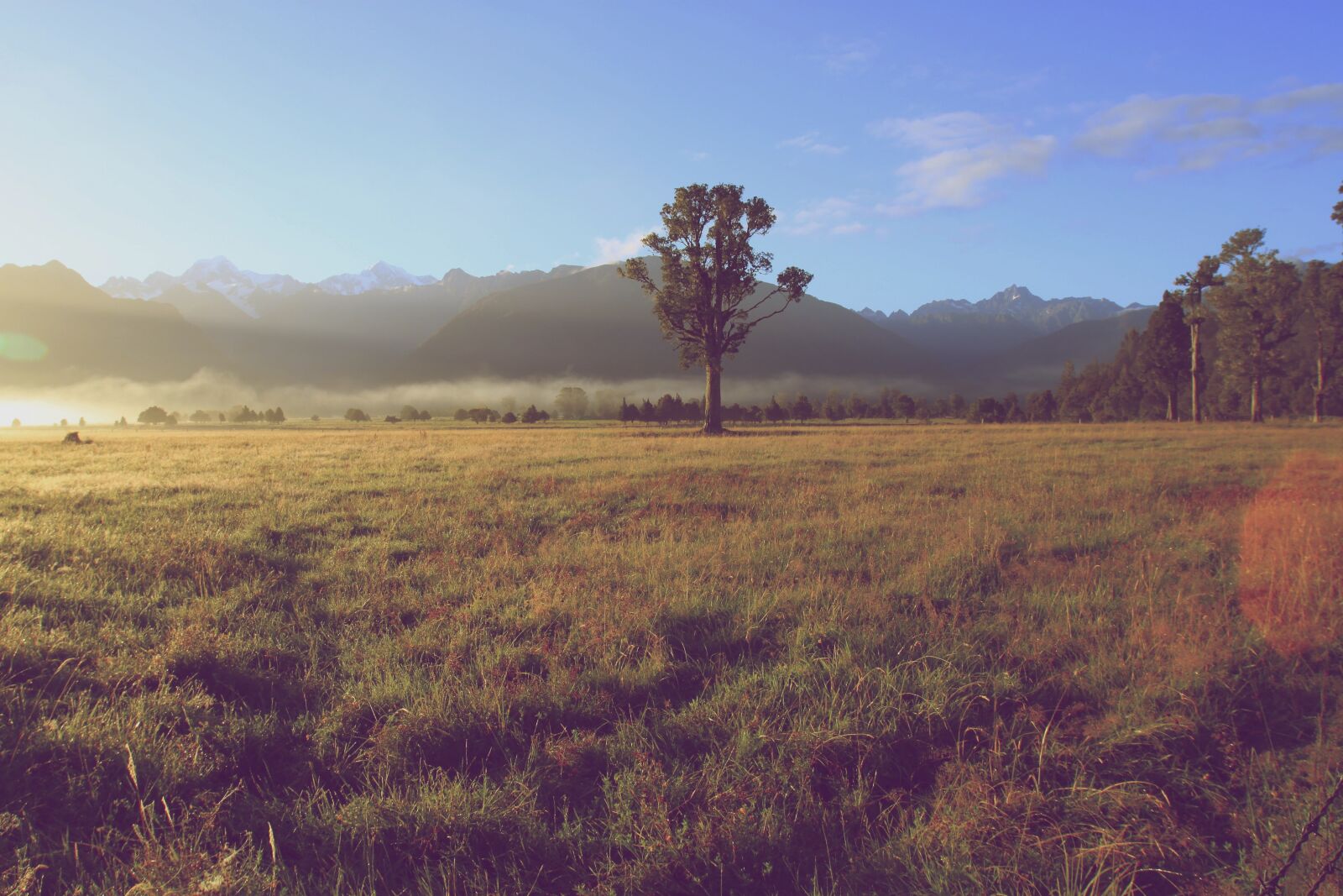 Canon EOS 500D (EOS Rebel T1i / EOS Kiss X3) sample photo. Tree, landscape, mountains photography