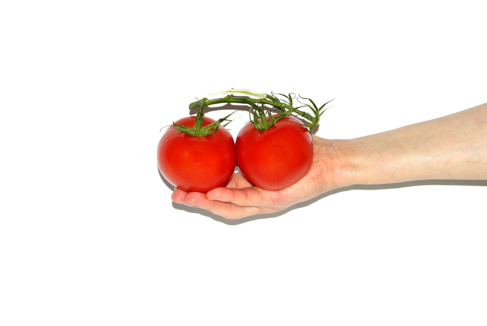 Sony Alpha DSLR-A200 sample photo. Tomato, the hand, hands photography