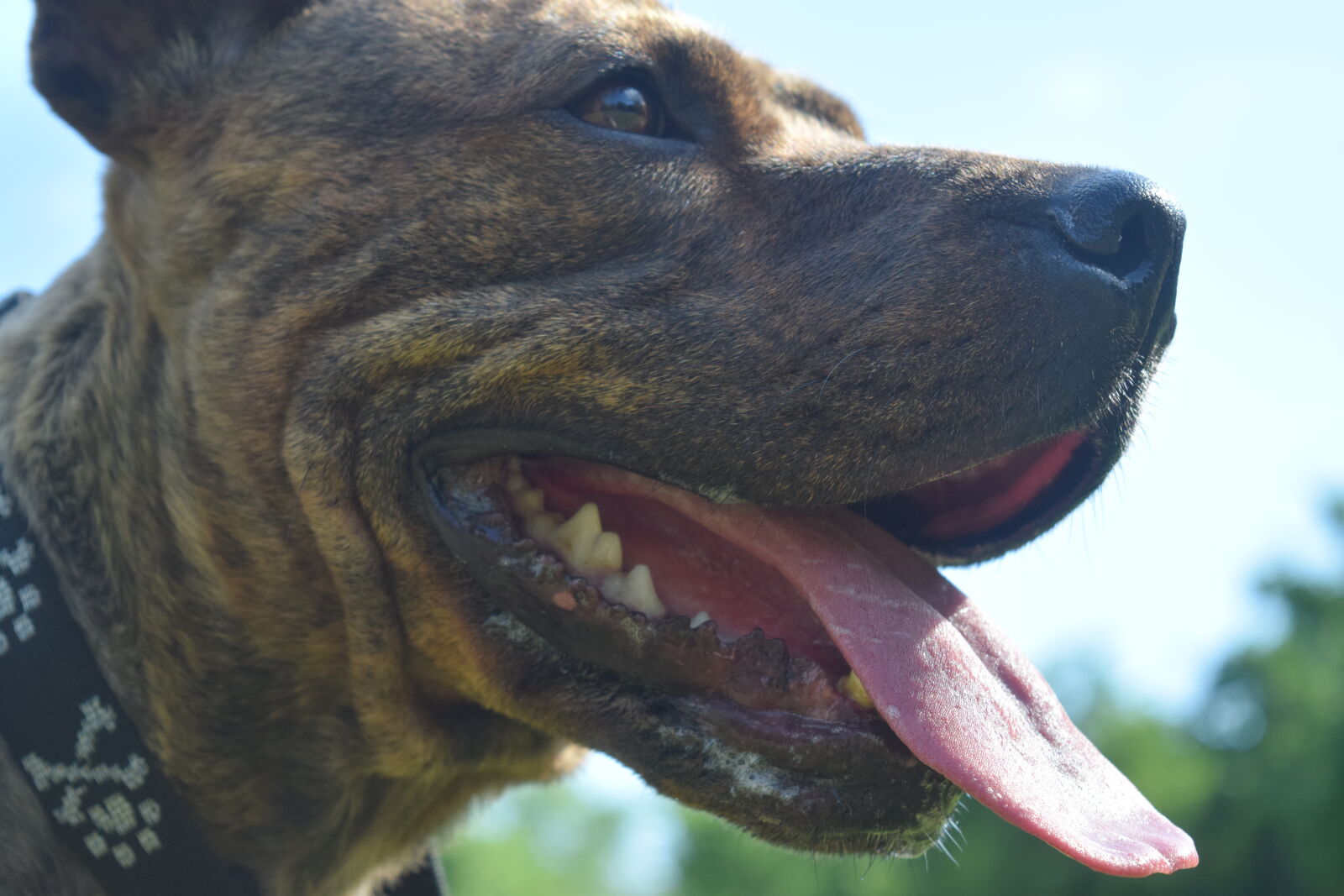 Nikon D3300 sample photo