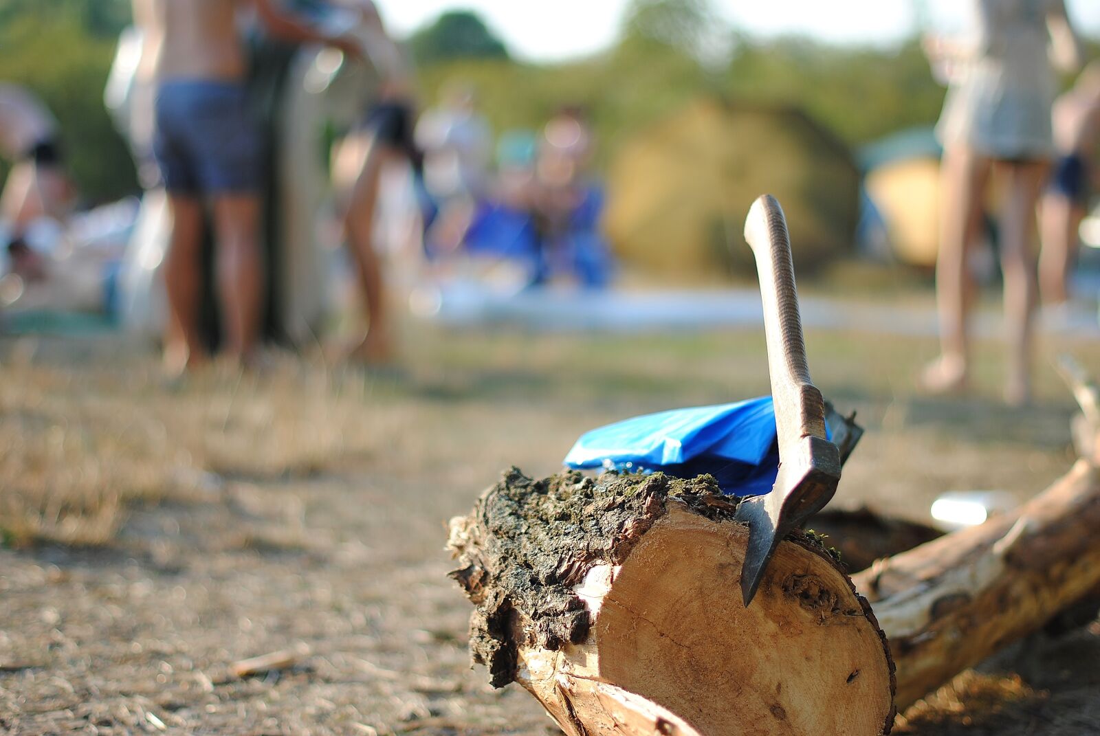 Nikon D3000 sample photo. Picnic, axe, bokeh photography
