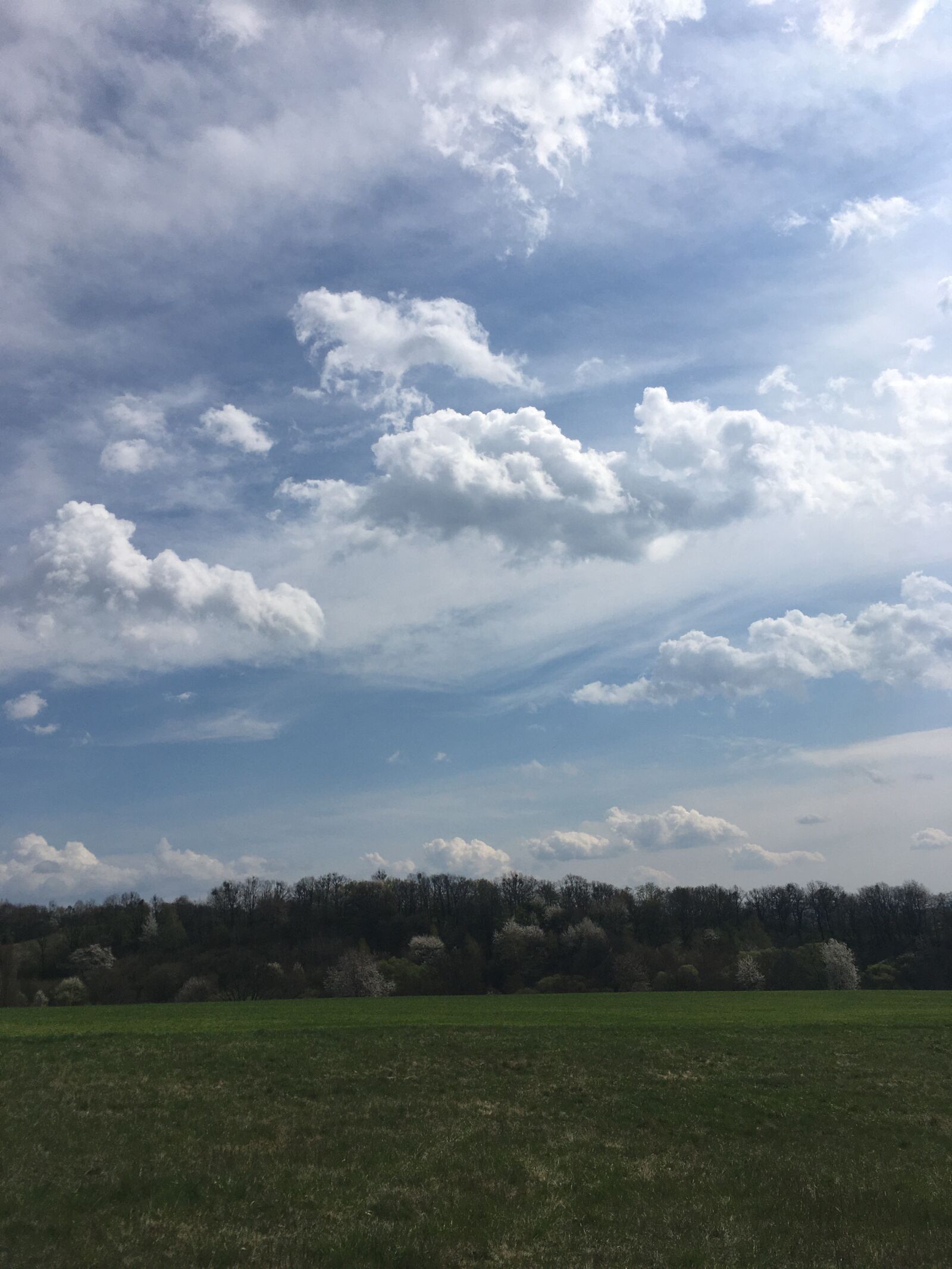 iPhone SE back camera 4.15mm f/2.2 sample photo. Clouds, forest, landscape photography