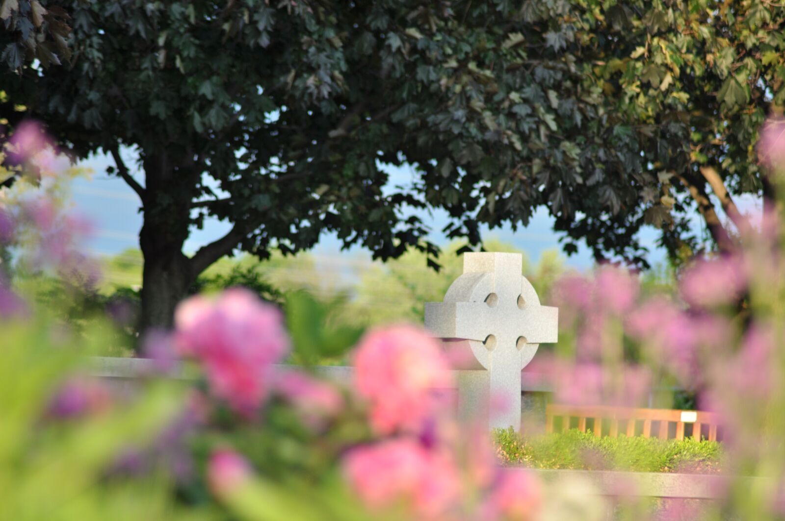 Nikon D90 sample photo. Faith, cross, garden photography